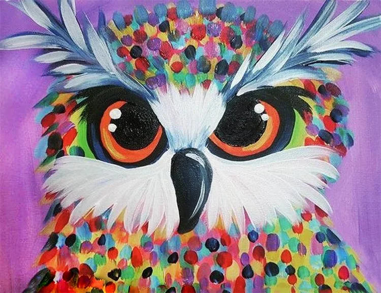 Spotted Owl.jpg
