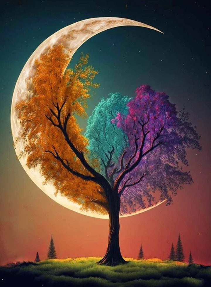 crescent moon tree.jpeg