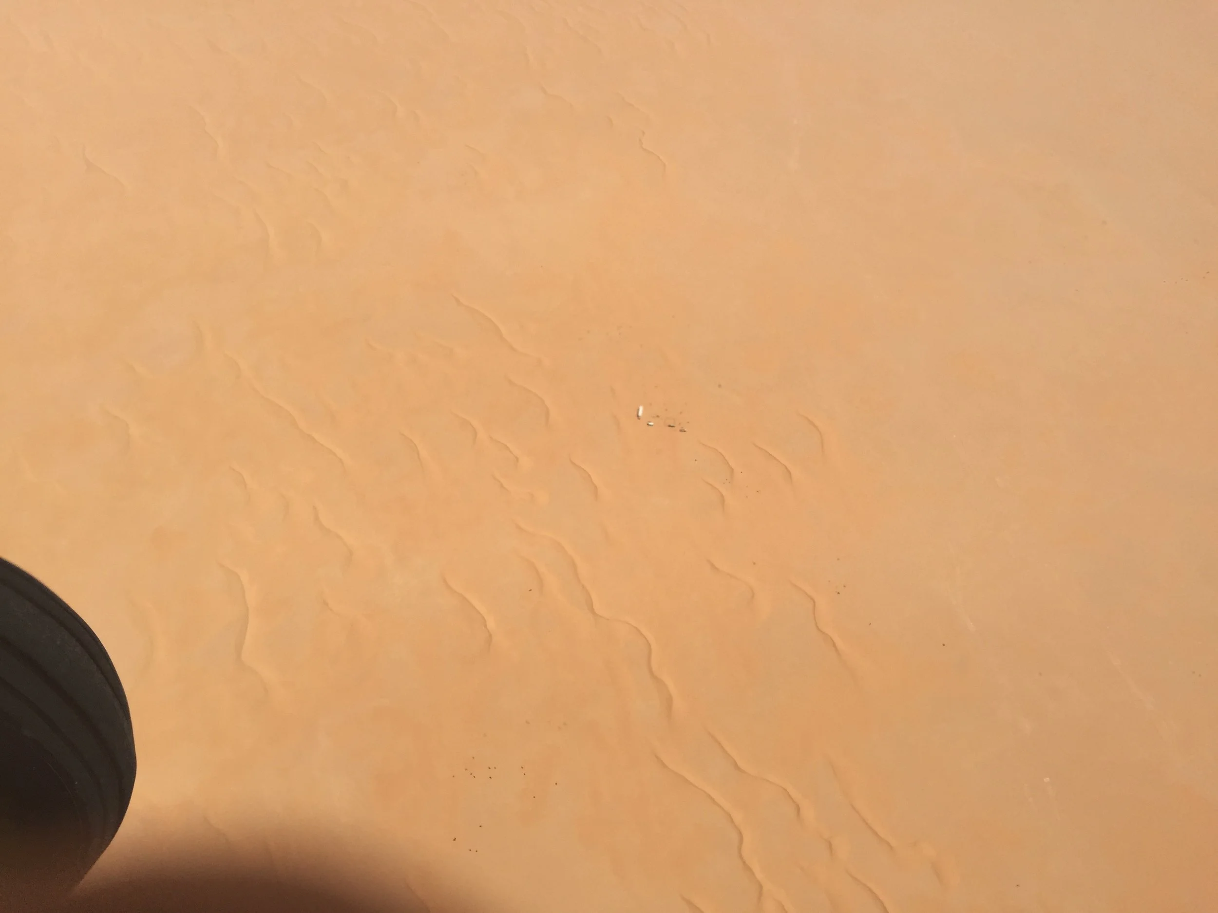 Caravan in the Saudi desert.jpg