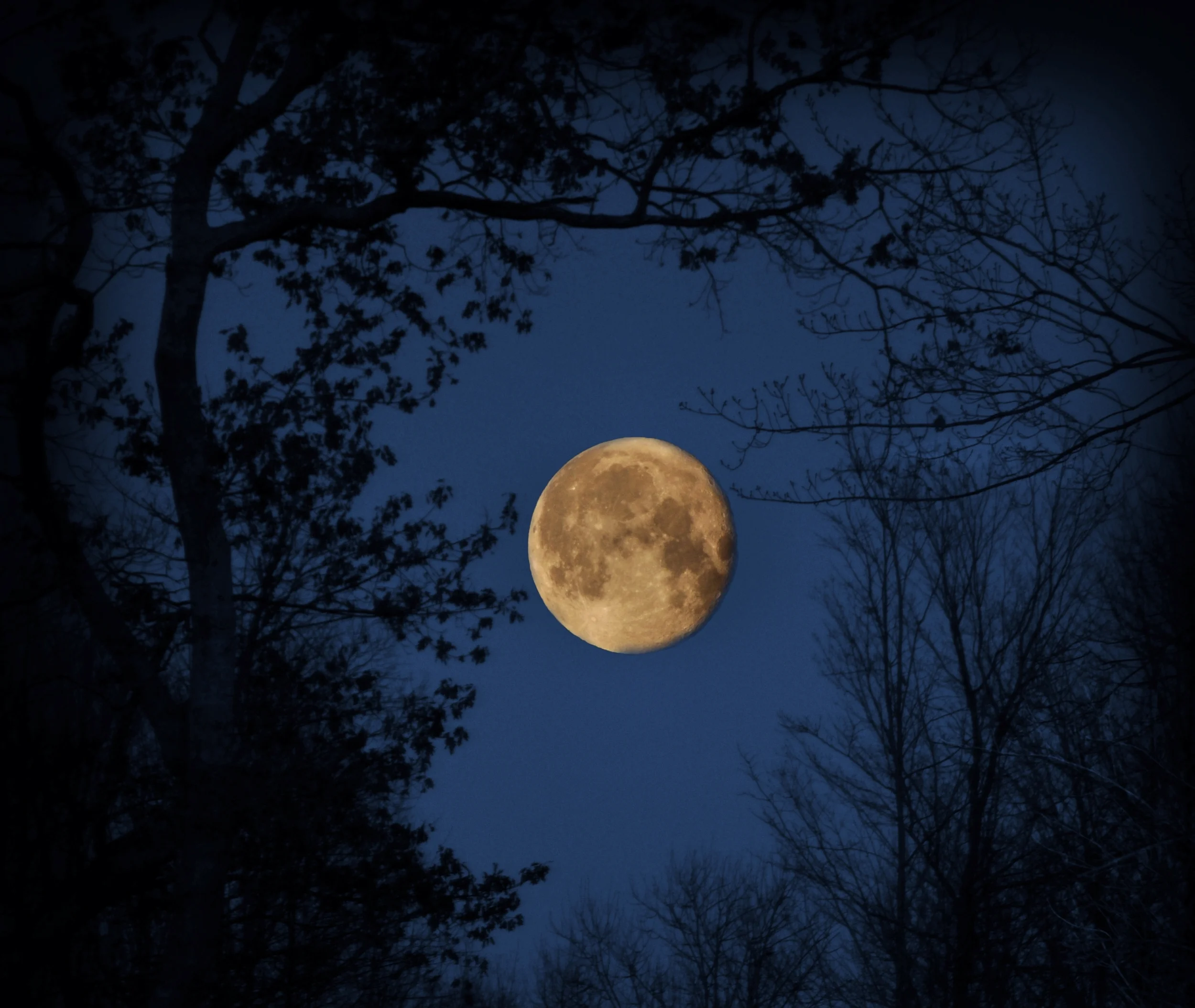 My Dark Side - Being Paranormal