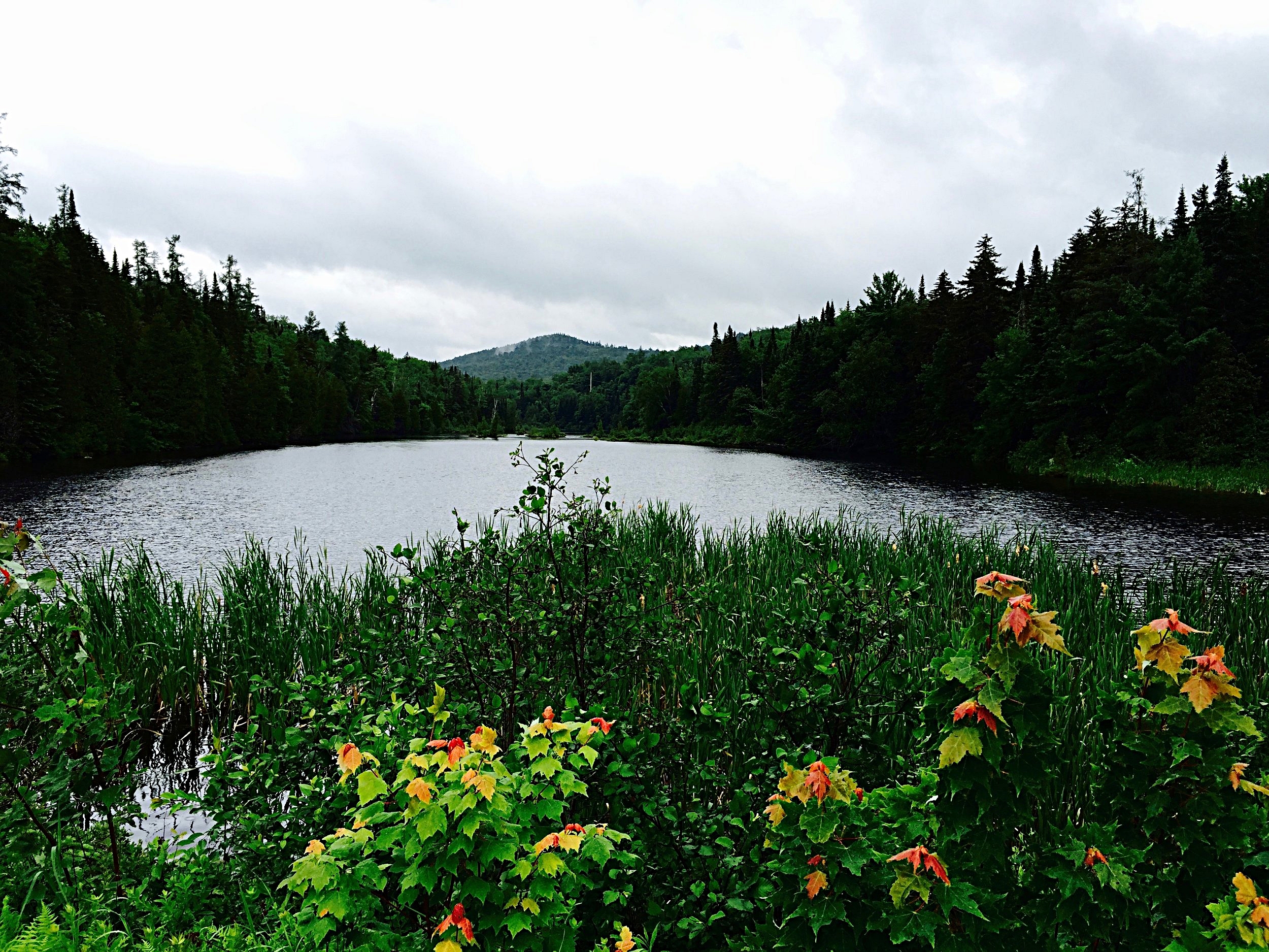  The Adirondack Mountains in Owls Head, N.Y.  (Chelsia Rose Marcius/June 23, 2015)&nbsp;  