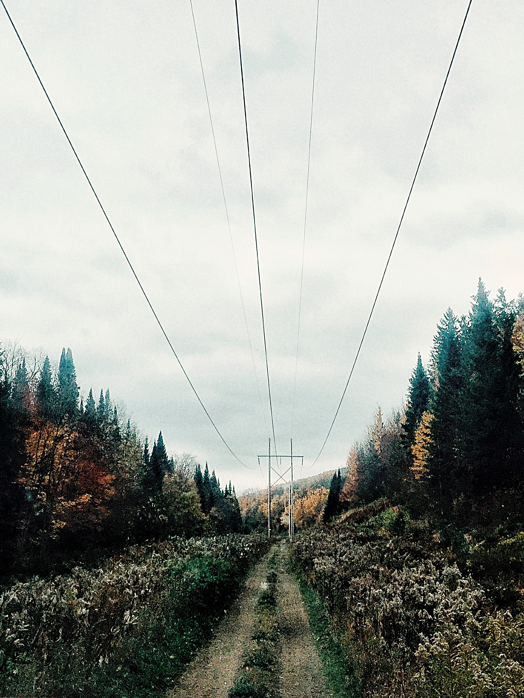  The old Delaware and Hudson Railroad in Dannemora, N.Y.&nbsp;Richard Matt and David Sweat camped out near this now defunct line early in the manhunt.&nbsp; (Chelsia Rose Marcius/ October 16, 2016)&nbsp;  