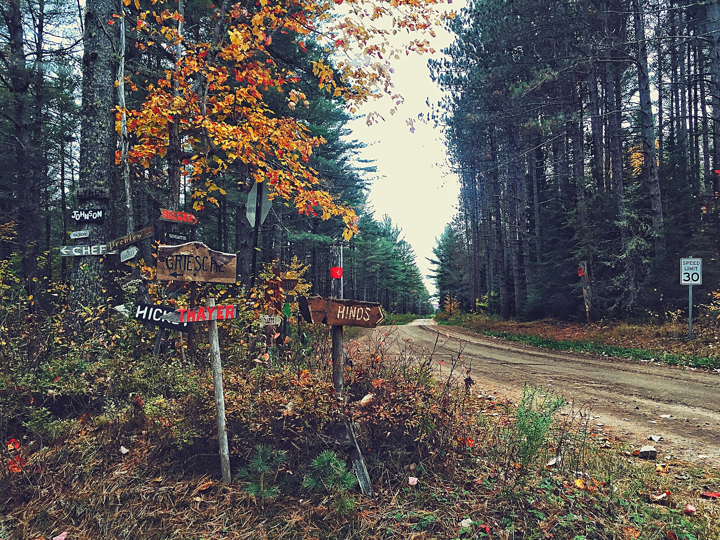  Signs to hunting cabins on the south east side of Mountain View Lake in Adirondack Park.  (Chelsia Rose Marcius/Oct. 9, 2016)  