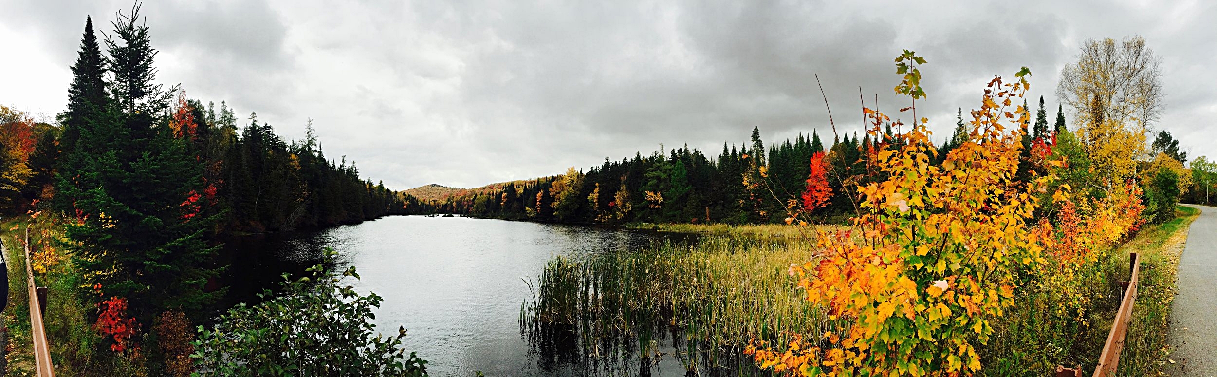  South side of Mountain View Lake in Malone, N.Y.  (Chelsia Rose Marcius/Oct. 9, 2016)&nbsp;  