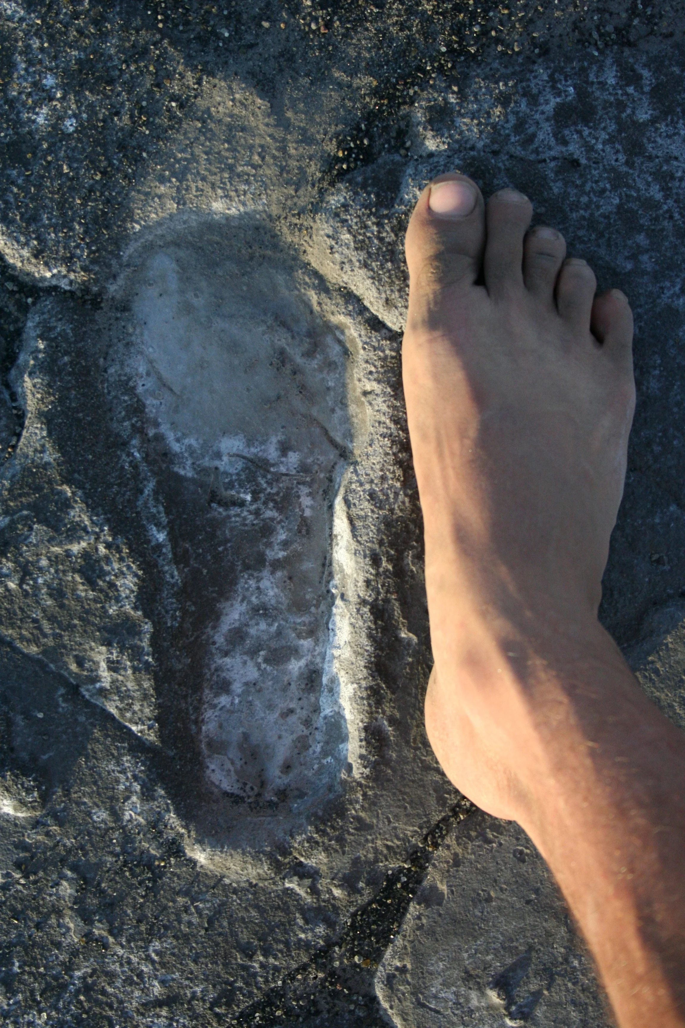 Homonid Footprints - over 100,000 years old