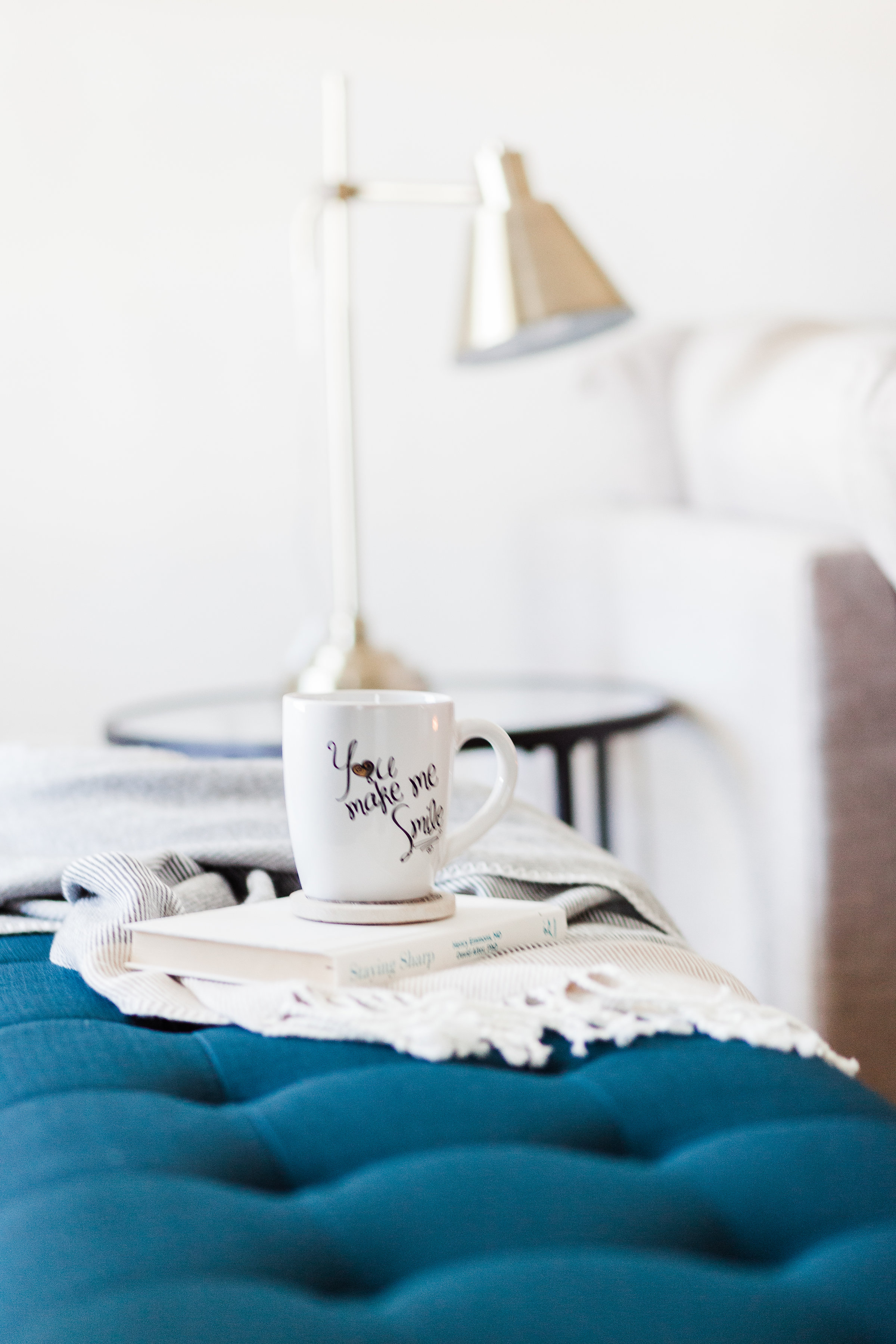 Niki McNeill Raleigh Apex Greenville NC Interior Designer SingleBubblePop Design Studio