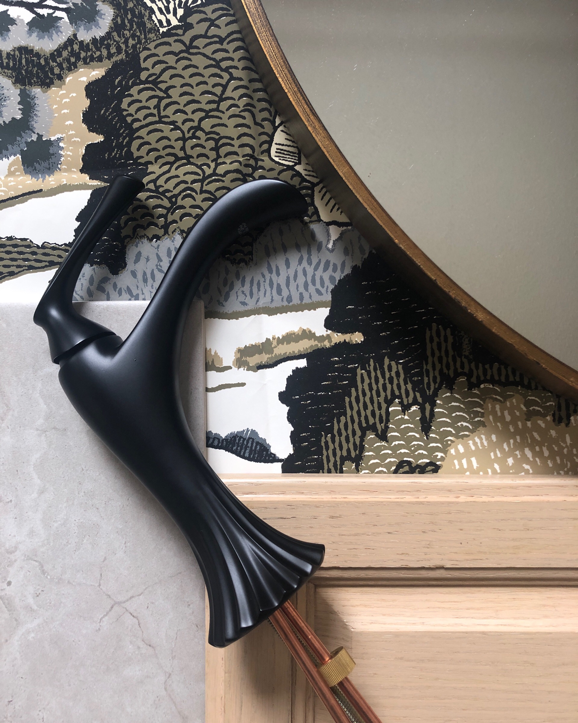 Bathroom Remodel with Pfister 