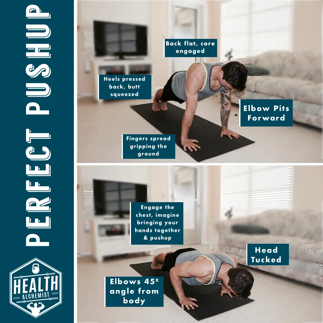 pushup exercise .jpg