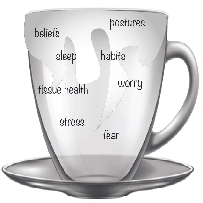 Tissue changes and pain: explaining their relevance