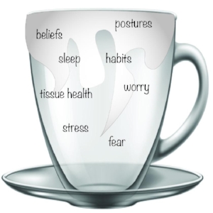 The overflowing cup: Build it up or decrease its contents aka: Calm shit down and build shit back up