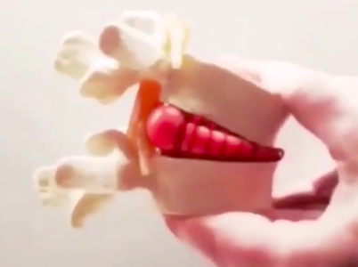 Watch your mouth.  The nonsense is breaking many.