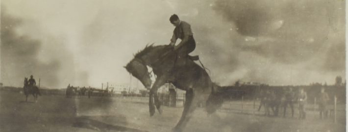 Image above:&nbsp;Artist unknown, &nbsp;Member of the 2nd Remount Unit AIF, training a new horse for Light Horse Units,&nbsp;Postcard HRL Light Horse Museum Collection.