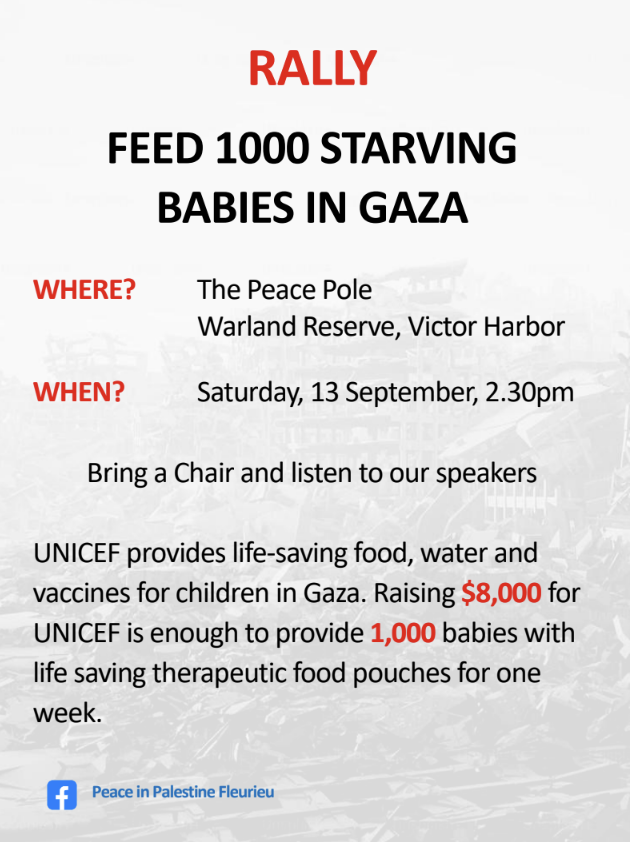 Rally - Feed 1000 Starving Babies in Gaza
