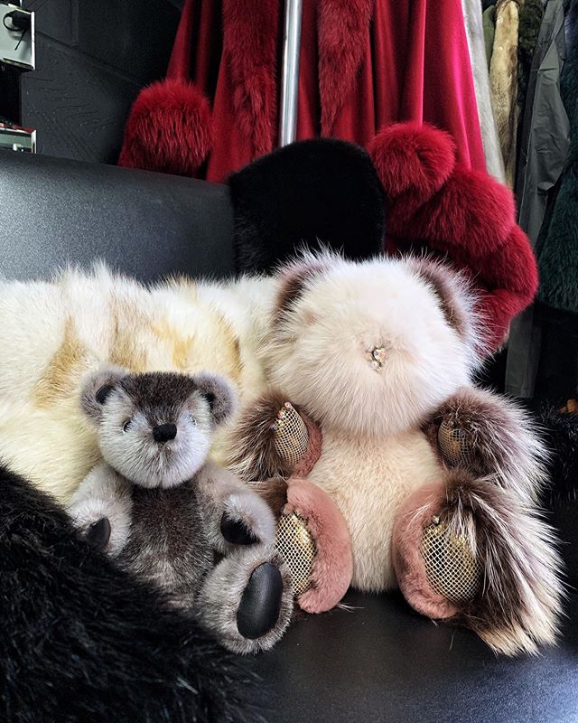Good morning~ hope you all have a good day ❤️ Igor and Milly 🐻#positiveenergy #positivevibes #teddybears #collection #fur #furlove #showroom #goodmorning #igdaily #igo #muchlove_ig
