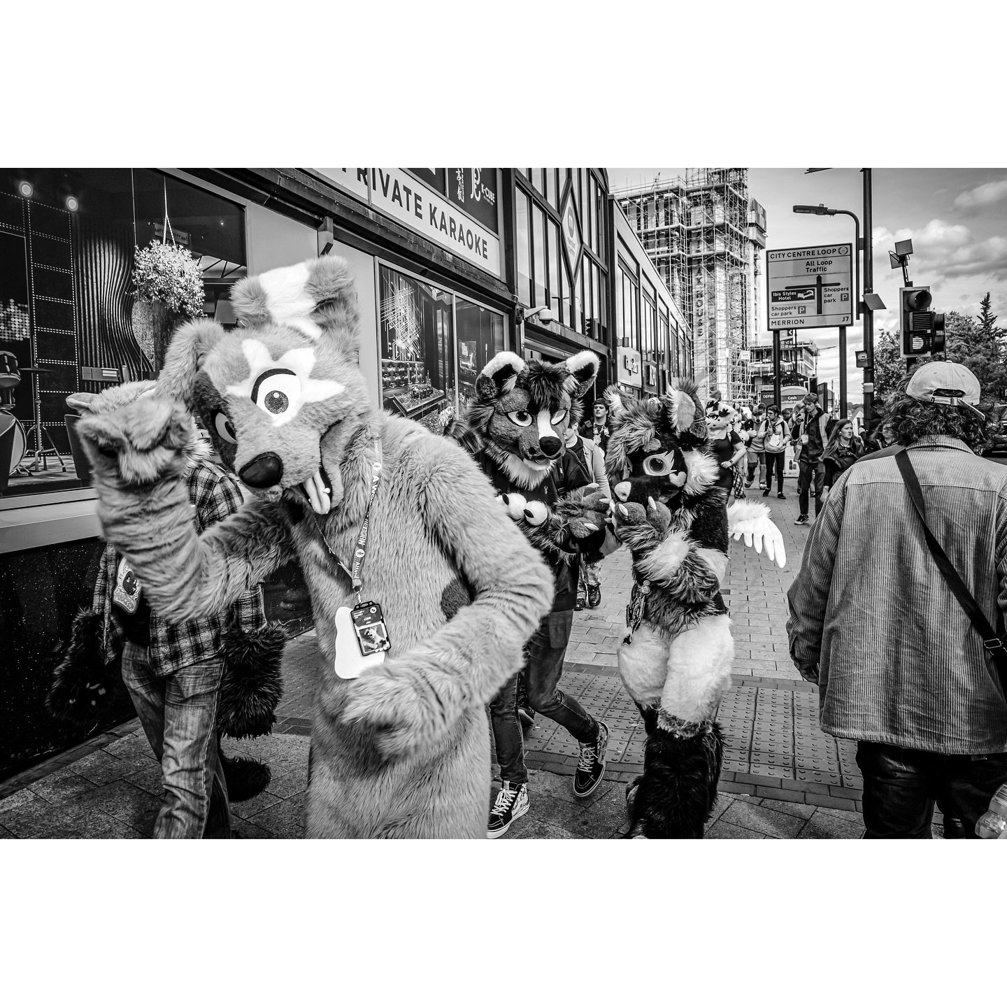 When the Furries came to town.
#leedsuk #leedsstreetphotography #streetphotographer #igers #igersleeds #streetphotographers #streetportrait #streetphotographerscommunity #streetphotoshot #documentaryphotography #documentyourdays #documentary #mikebe