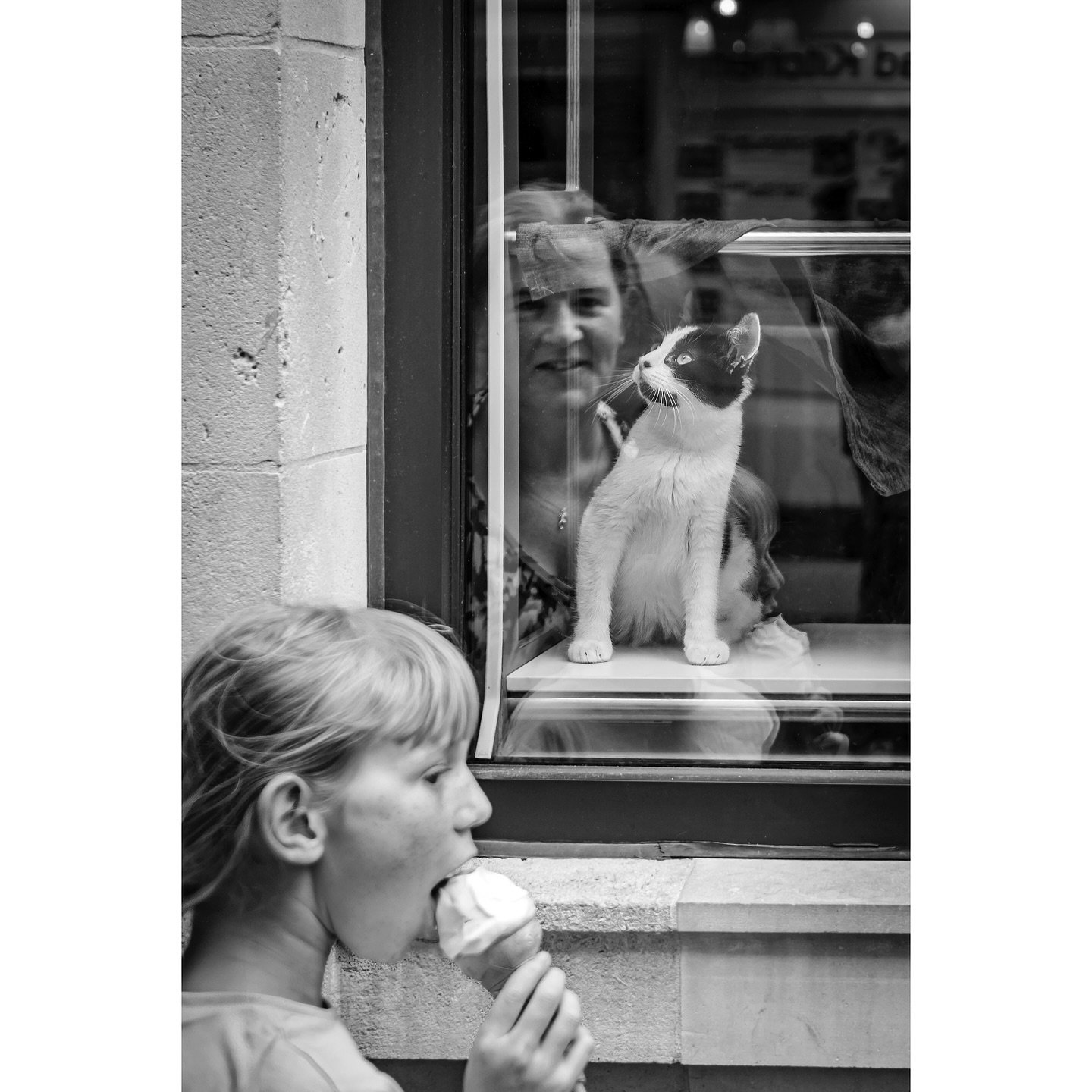 Window shopping at the Leeds Kitty Cafe. 😺
#leeds #leedscitycentre #loveleeds #loveleedslife #visitleeds #kittycafe #leedskittycafe #igers #igersleeds #blackandwhite #blackandwhitephotography #bnw #bnw_photography #mikebettney #mikebettneyphotograp