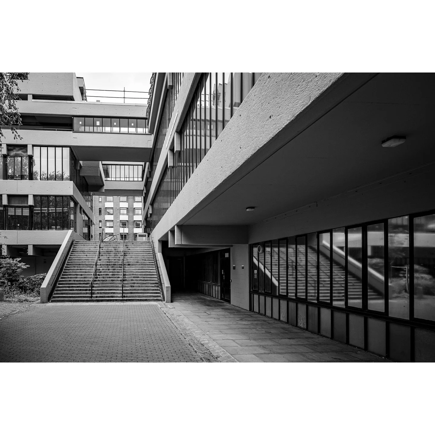 Studying architecture at Leeds University

#leeds #igersleeds #blackandwhitearchitecture #bnwarchitecturephotography #architecturephotography #bnwarchitecture #visitleeds #loveleeds #loveleedslife #bnw #bnwstreetphotography #blackandwhite #documentar
