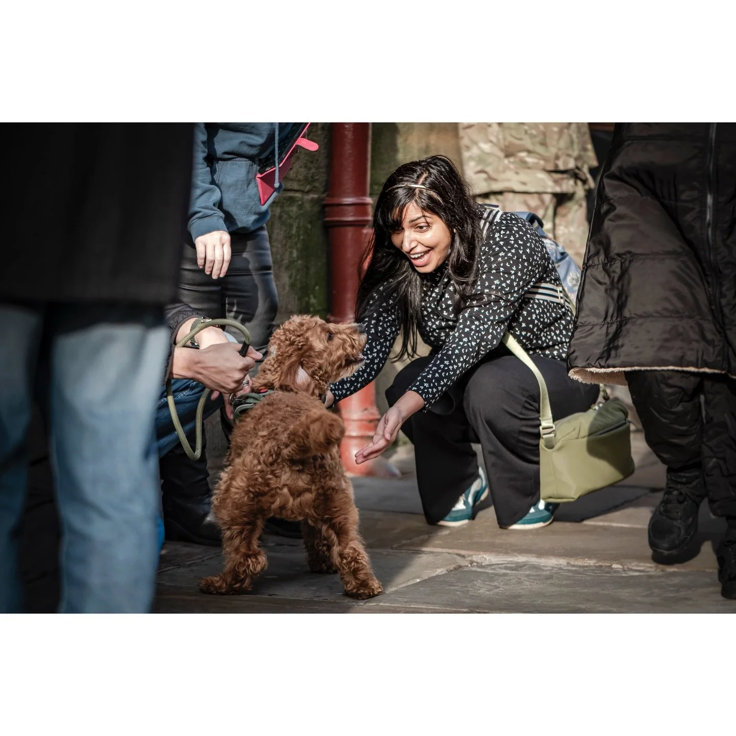 Carrying a stylish bag concealing copious amounts of dog treats, by stealth, she approaches unsuspecting pooch&rsquo;s and their owners. Casually befriending them with a smile, a pat, a stroke and nurturing words, before revealing her true intention&