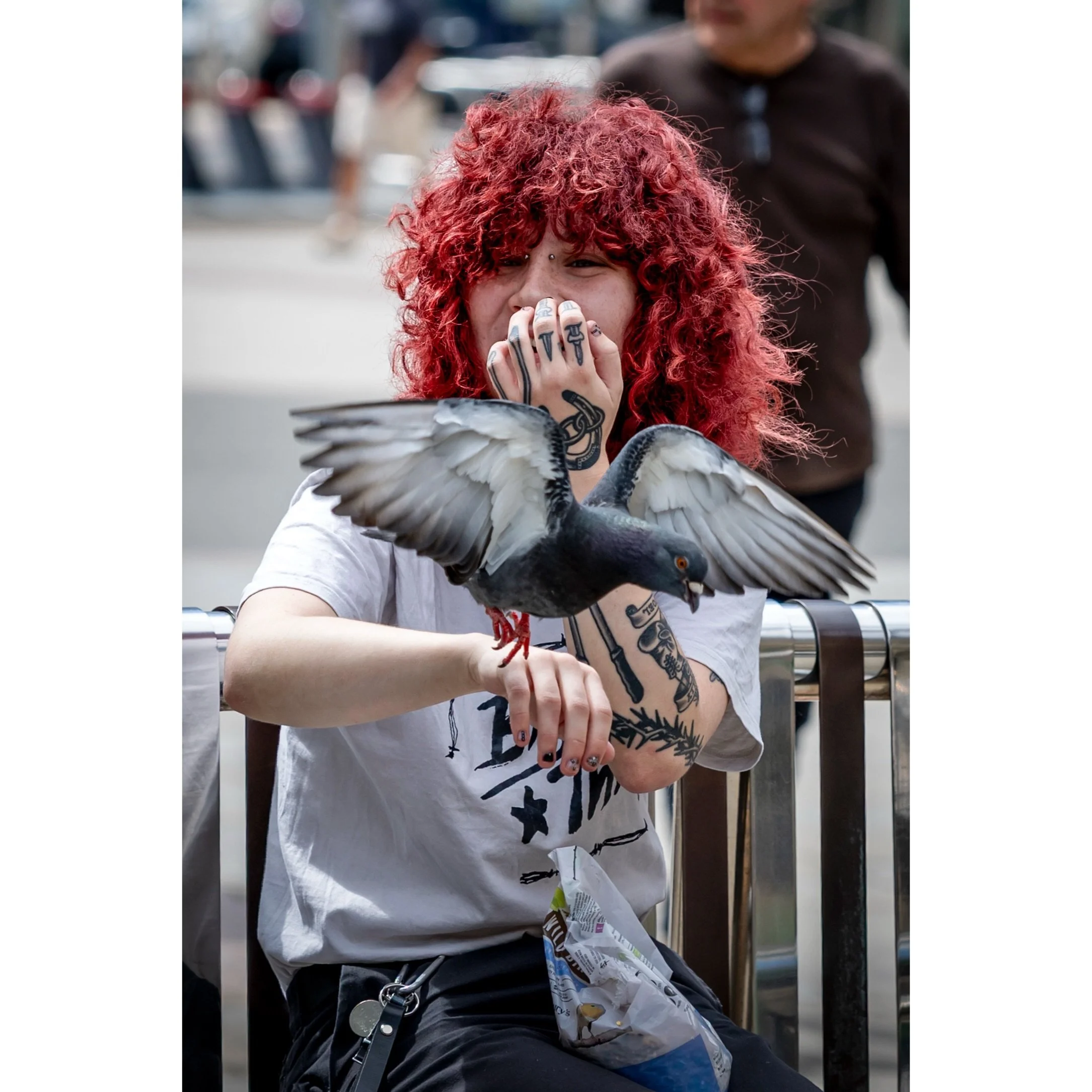 Leeds City Square Pigeon Fancier.
I&rsquo;ve suddenly realised I&rsquo;ve shot (photographed) more pigeons this year than I&rsquo;ve done before. The pigeons of Leeds seem to be both well liked and well fed.

#leeds #pigeon #igersleeds #loveleeds #pi