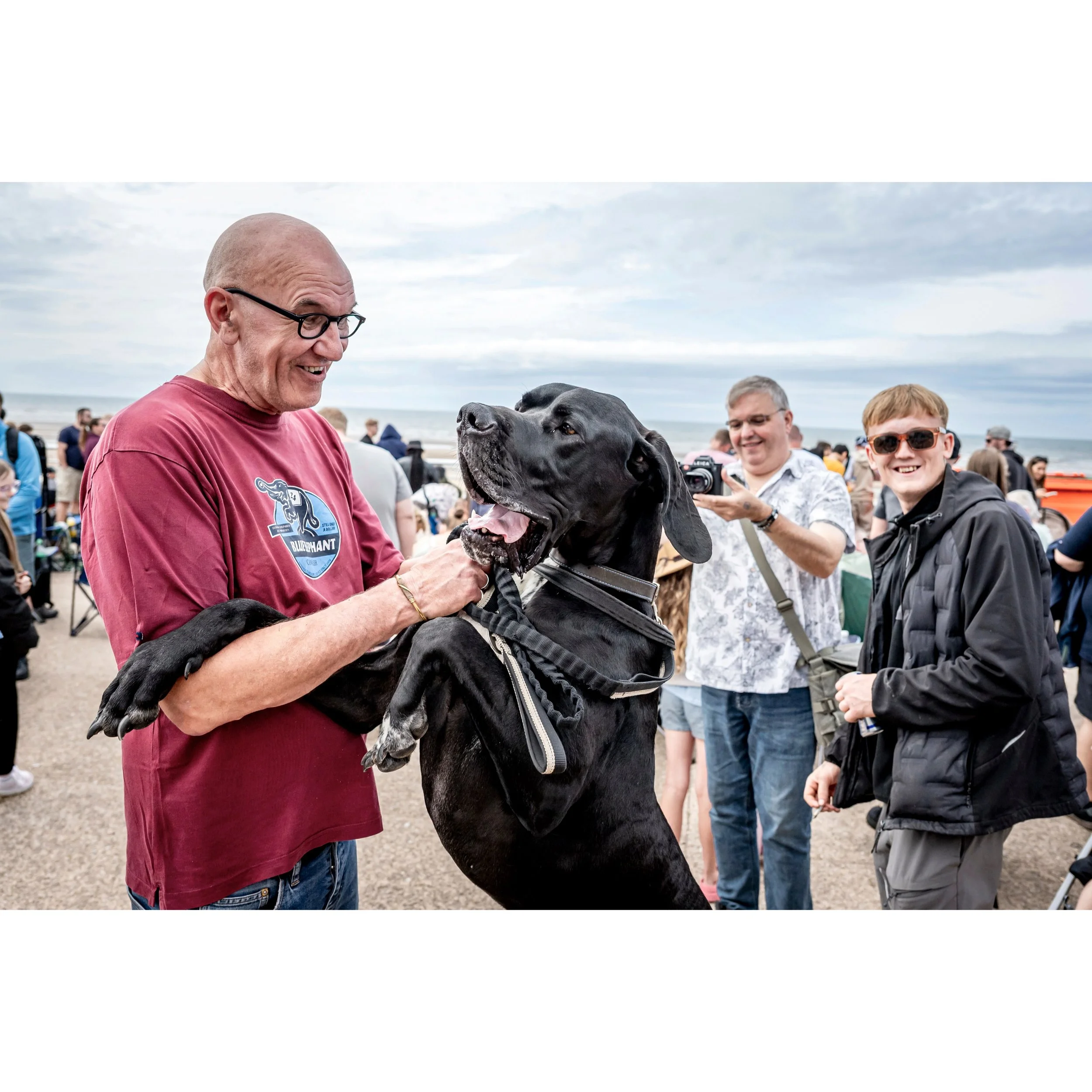 Big Dog in Blackpool.

#dogsofinstagram #dog #streetphotography #bigdog #dogsofinsta