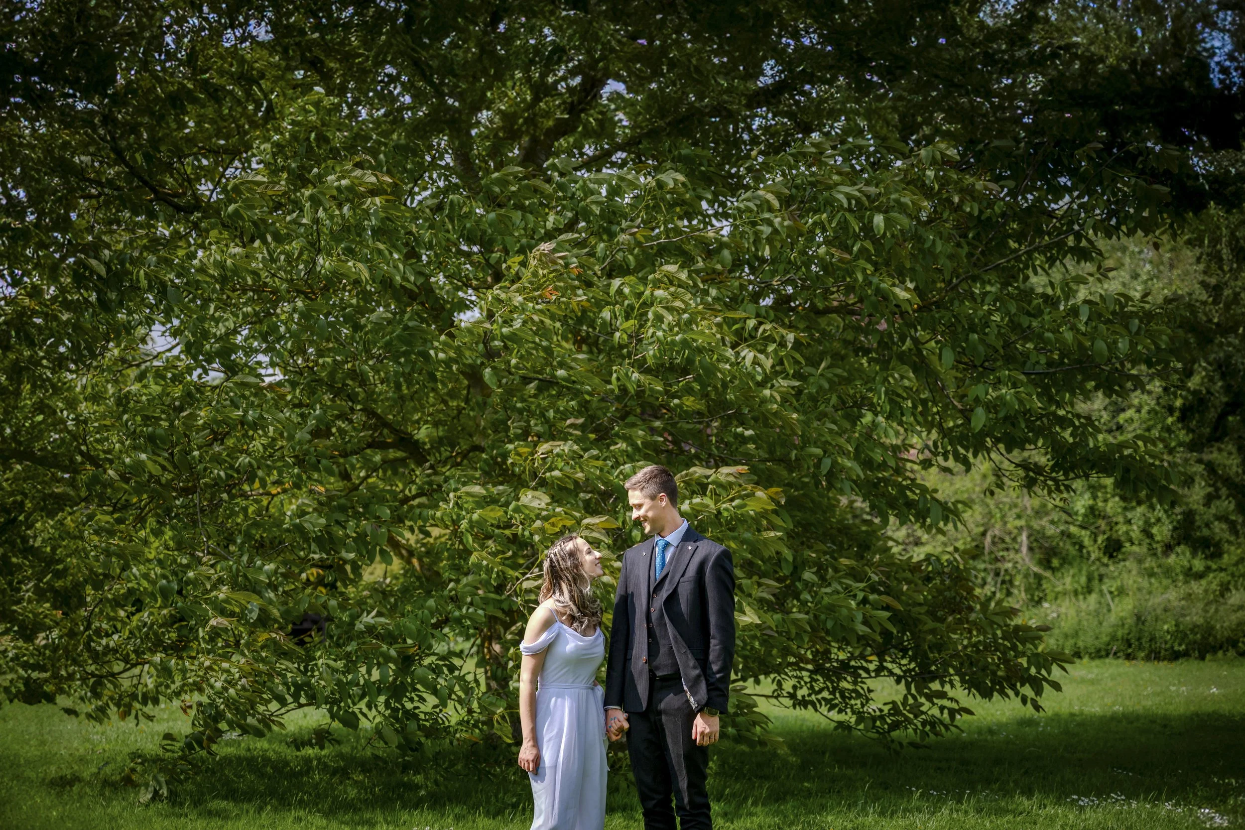 A young woman in a white dress and a man in a dark suit holding hands, standing on grass in front of a large leafy tree, gazing at each other.