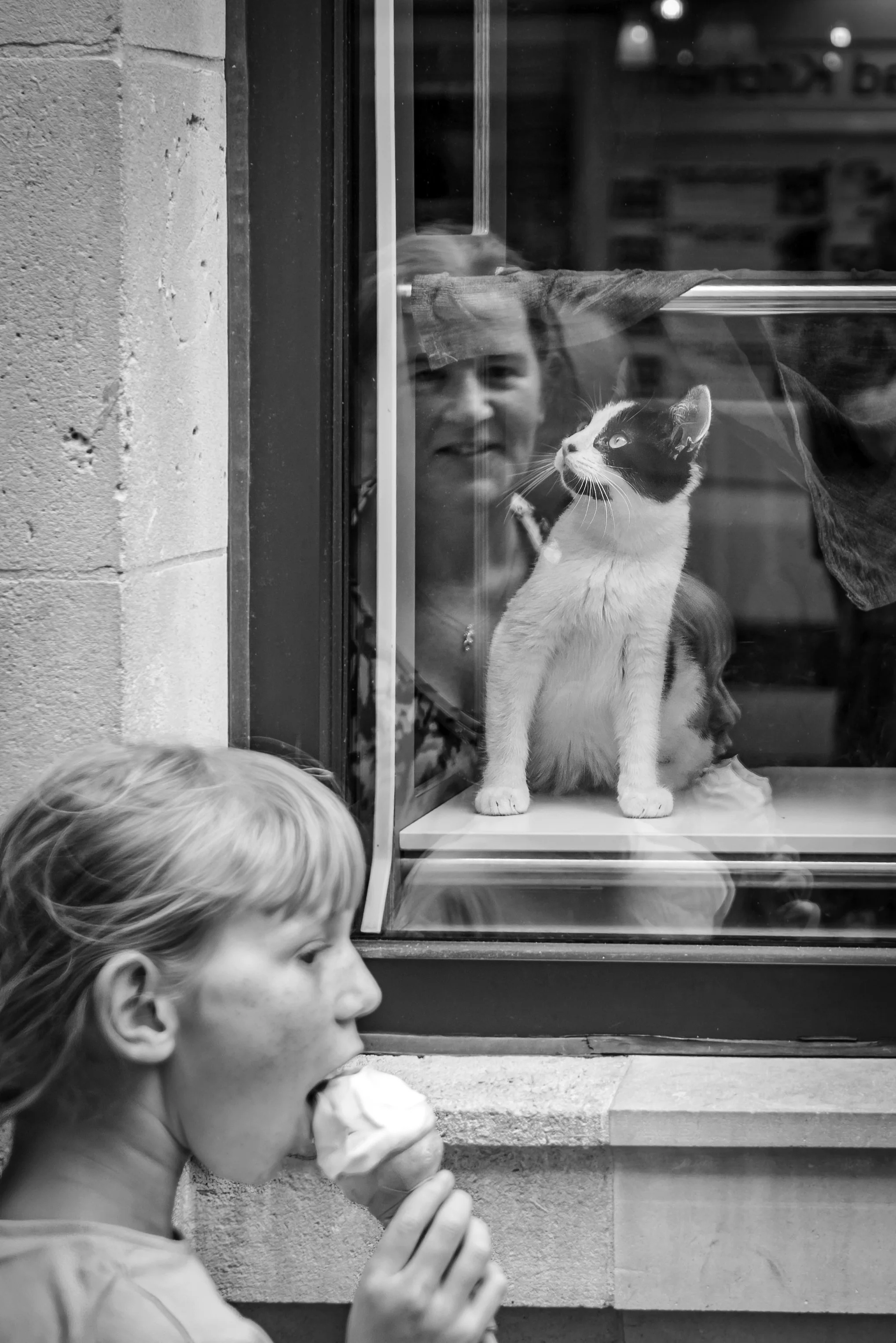 A girl eating ice cream outside a shop, looking at a cat through the window. The cat is sitting on a shelf inside the shop, looking up, as a woman and another person look on behind the glass.