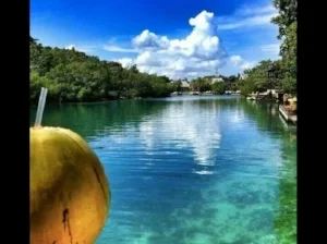f0a9bc7b0e93bb3c2f7eabb6dd6584ae--jamaican-food-recipes-montego-bay.jpg