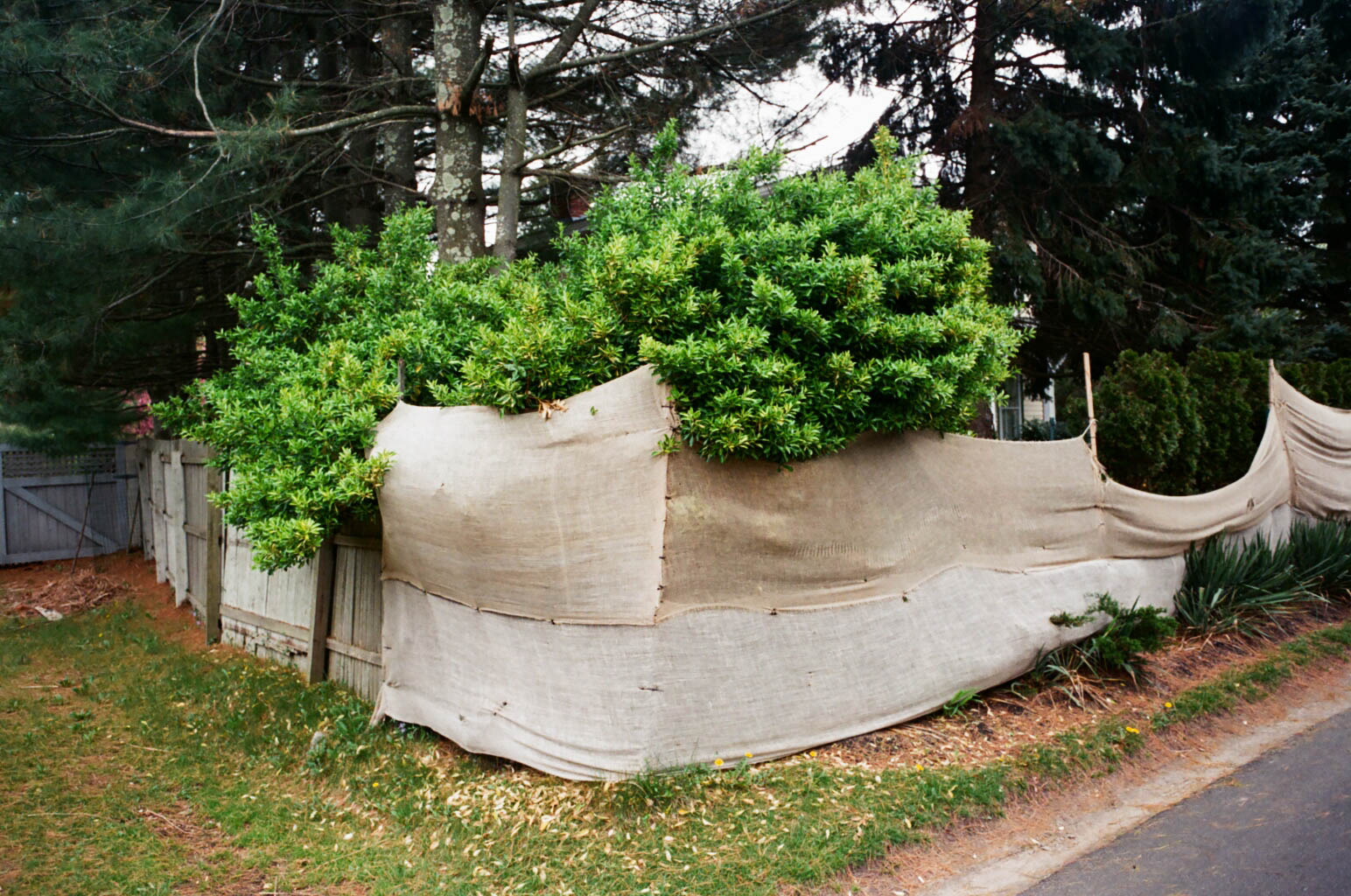 48570004.jpg
