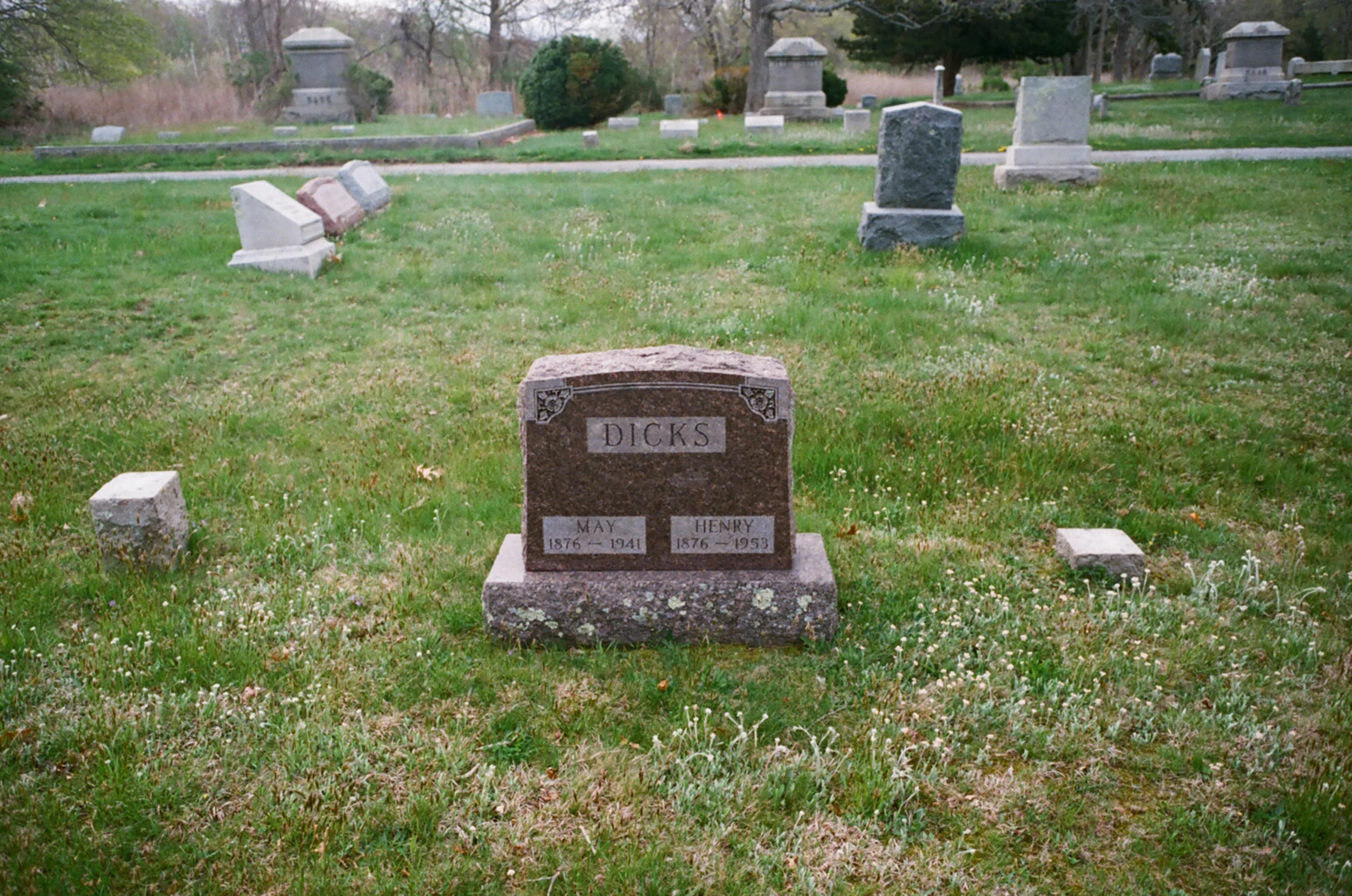 47310018.jpg