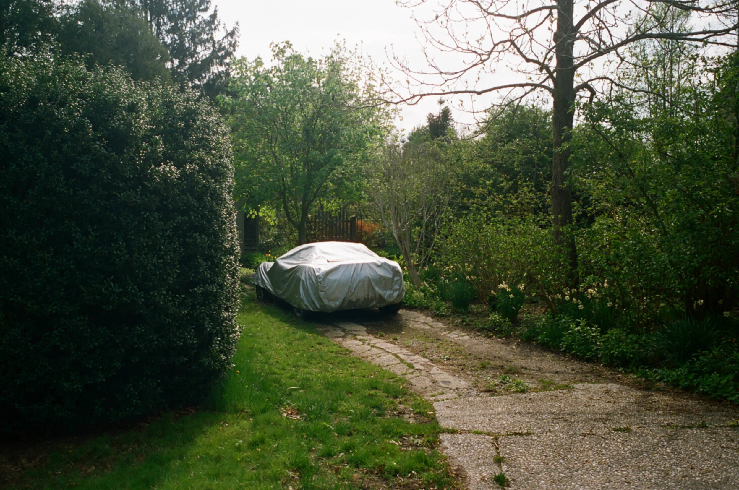 47310029.jpg