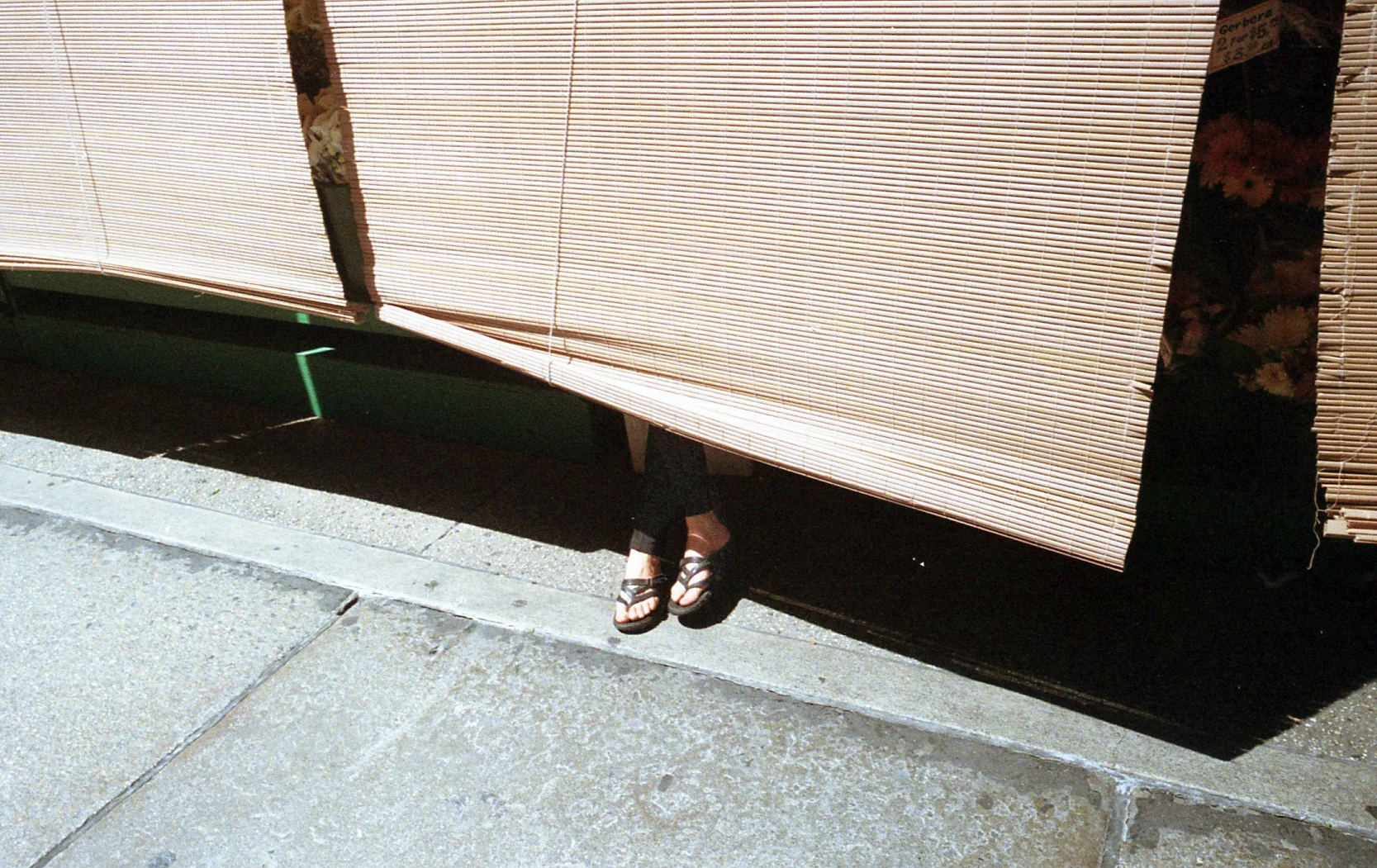 img538.jpg