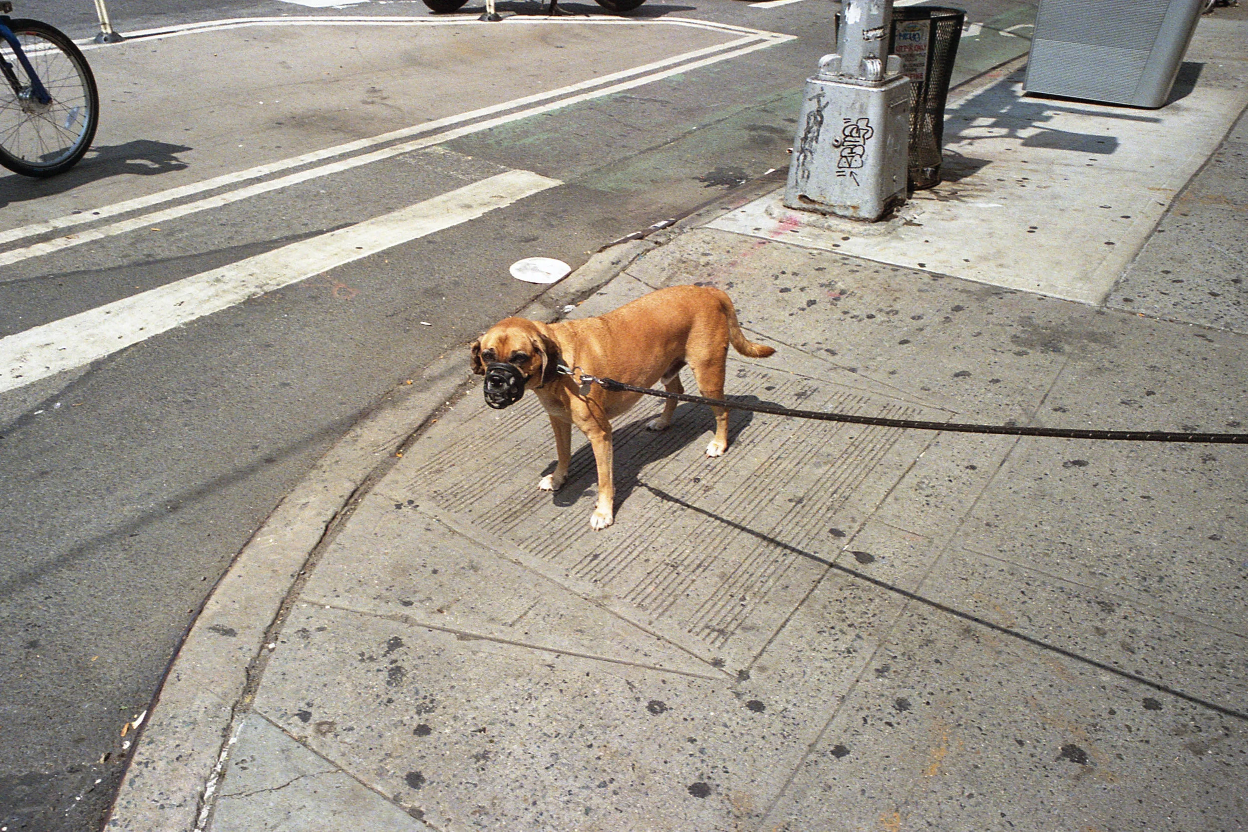 img880.jpg
