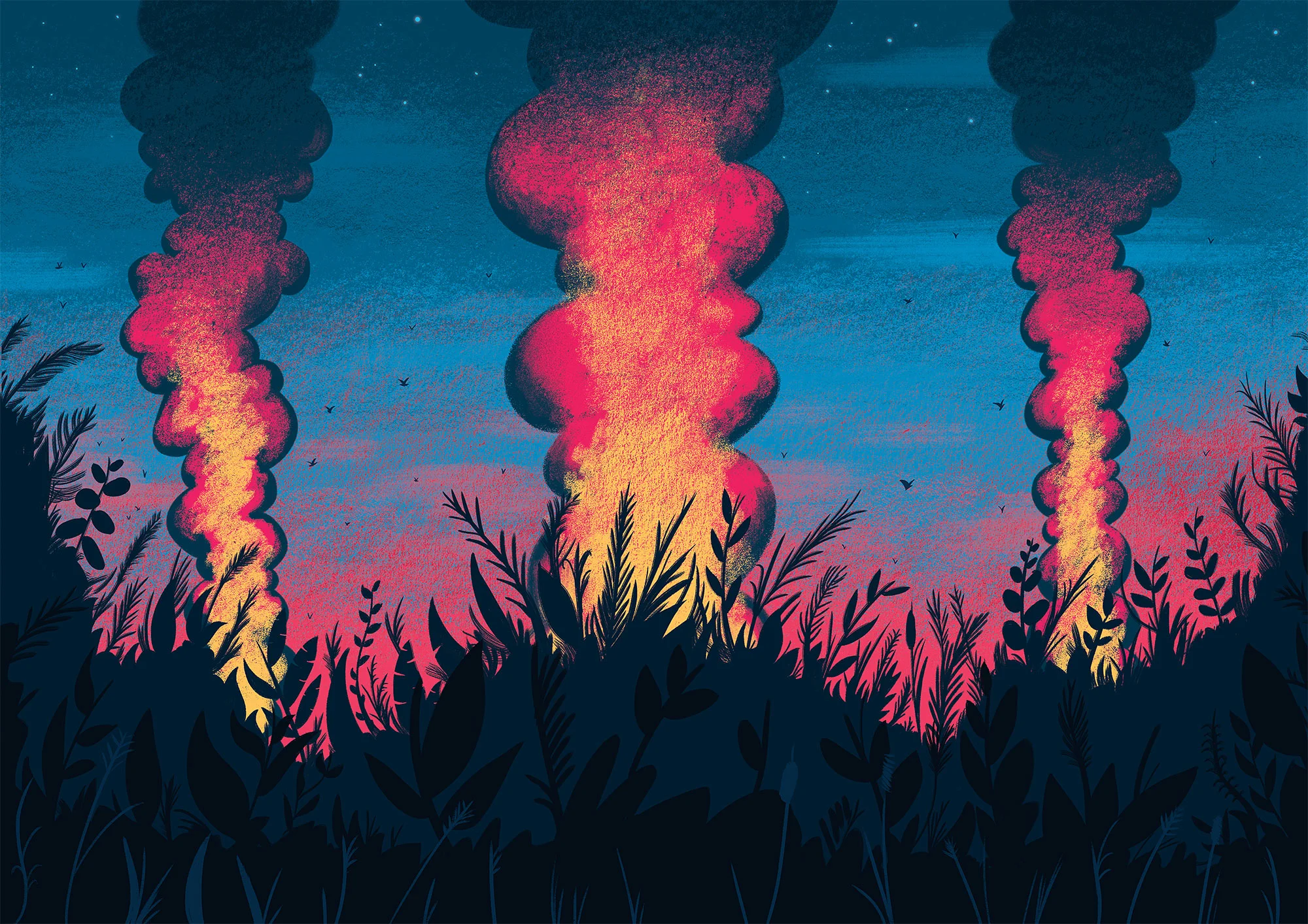 Tom_Cole_Forest_Fires.jpg