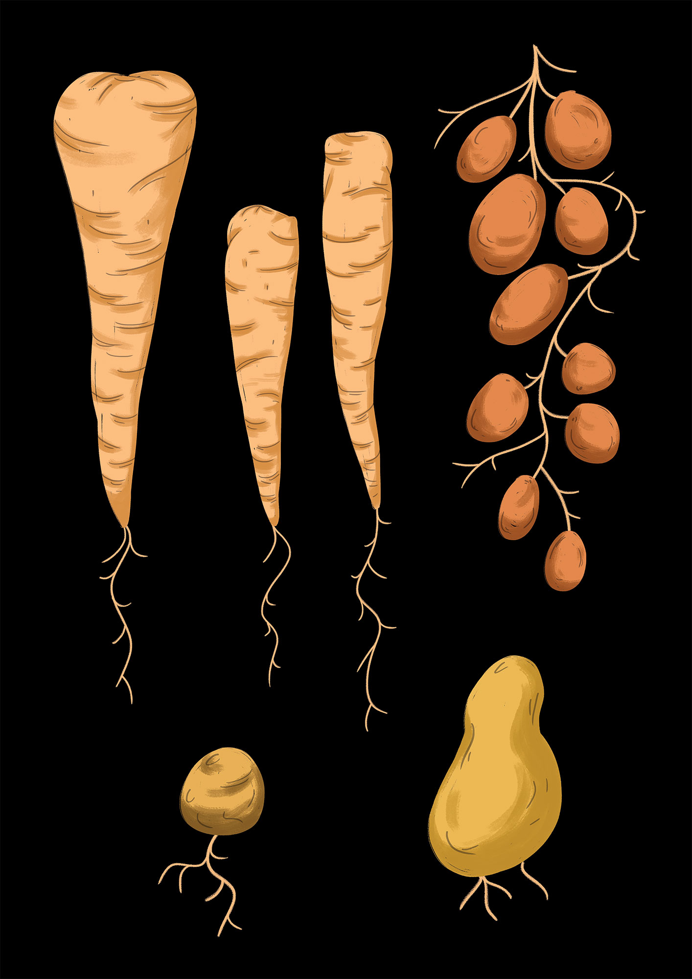 Tom_Cole_Morrissons_Veg_1.jpg