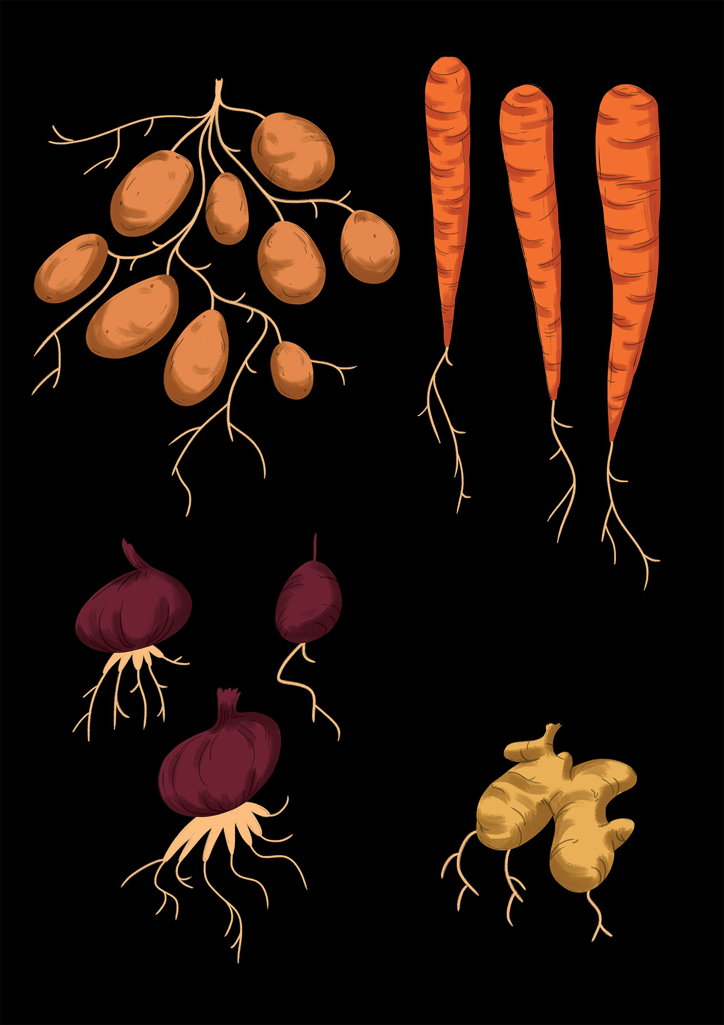 Tom_Cole_Morrissons_Veg_2.jpg