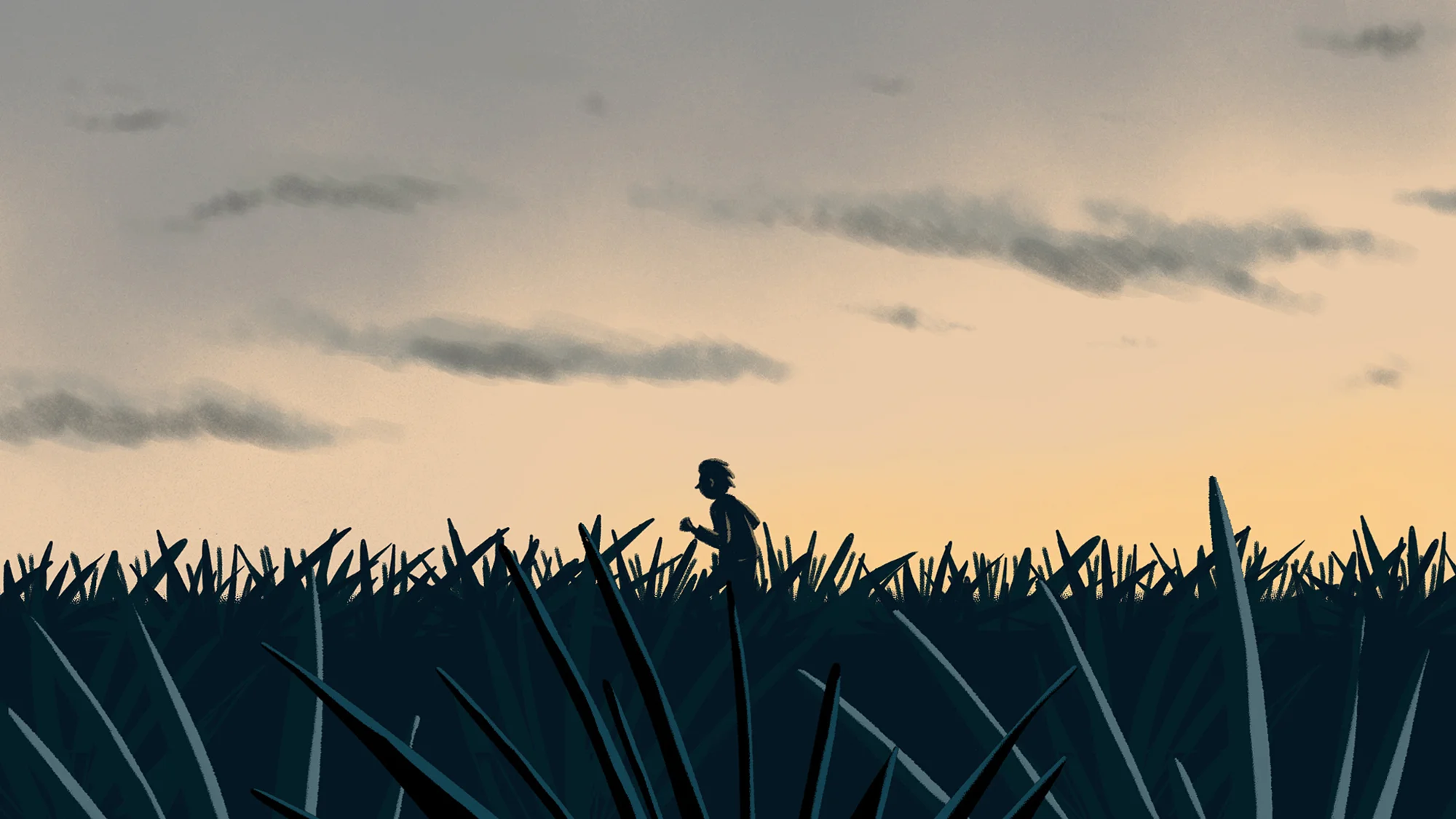 Tom_Cole_Tequila_Storyboard_11c.jpg