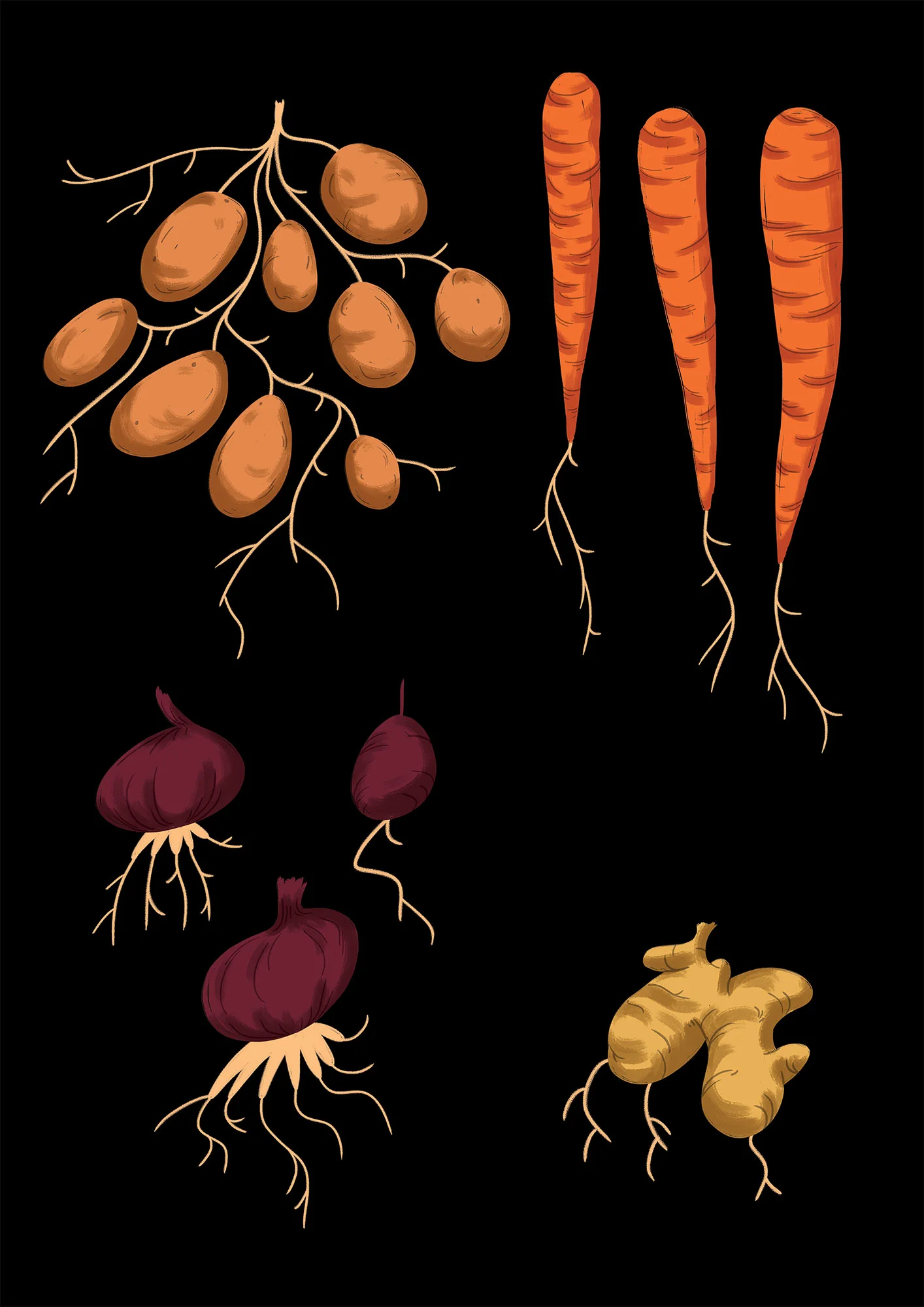 Tom_Cole_Morrissons_Veg_2.jpg