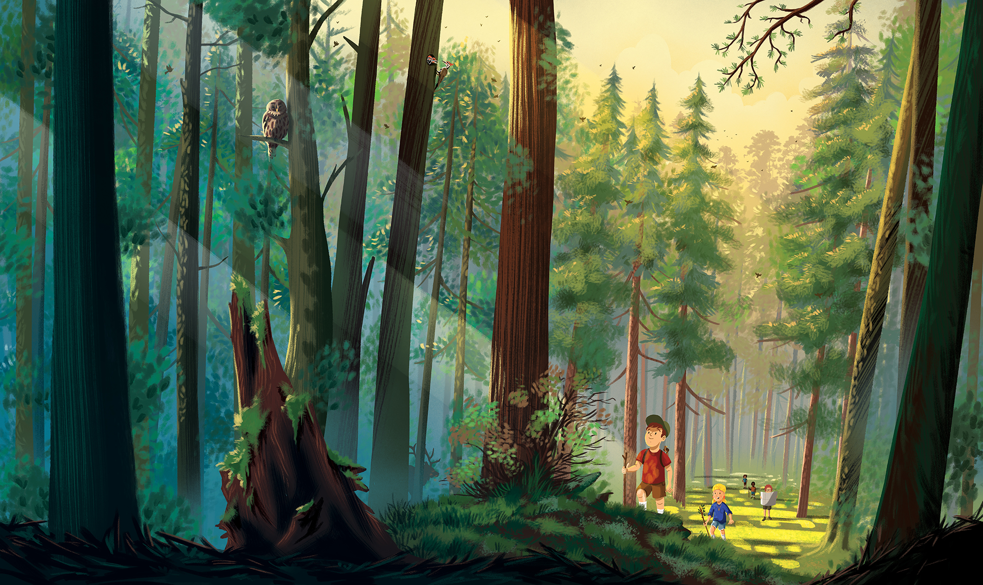 TOM_COLE_BIOMES_FINAL_V1_background.jpg