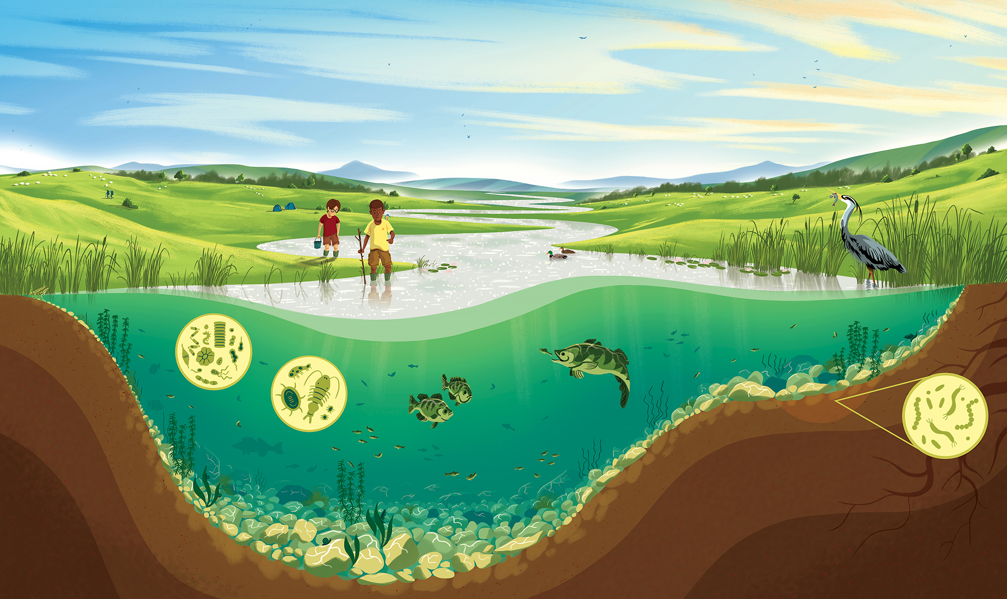 Сохранение водоема. Экосистема земли. Мультяшная природа. Рисунок на тему экосистема. Экосистема реки.