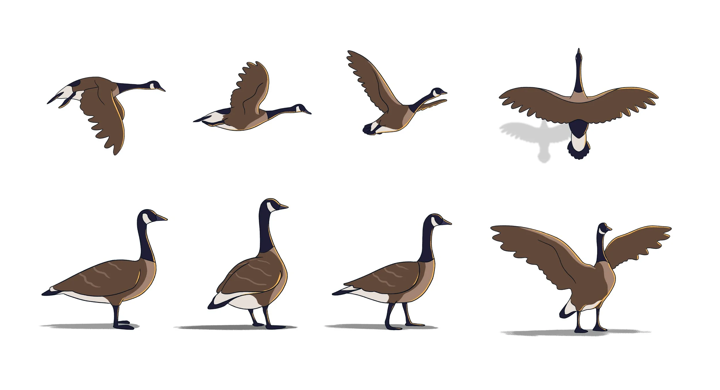 GOOSE_DRAWINGS.jpg