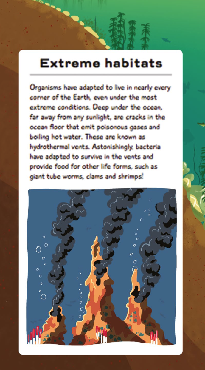 Screenshot 2018-11-08 at 16.58.47.png