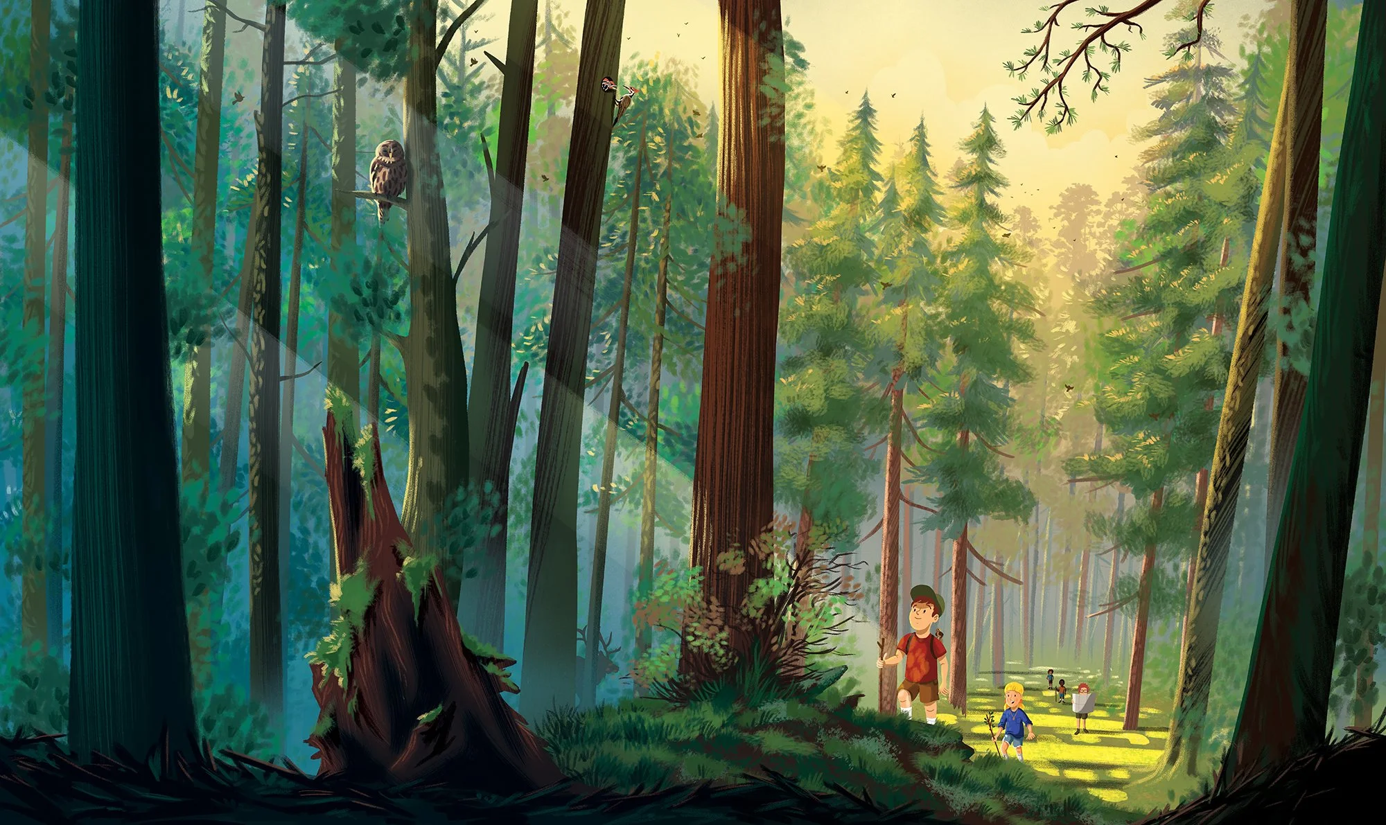 TOM_COLE_BIOMES_FINAL_V1_background.jpg