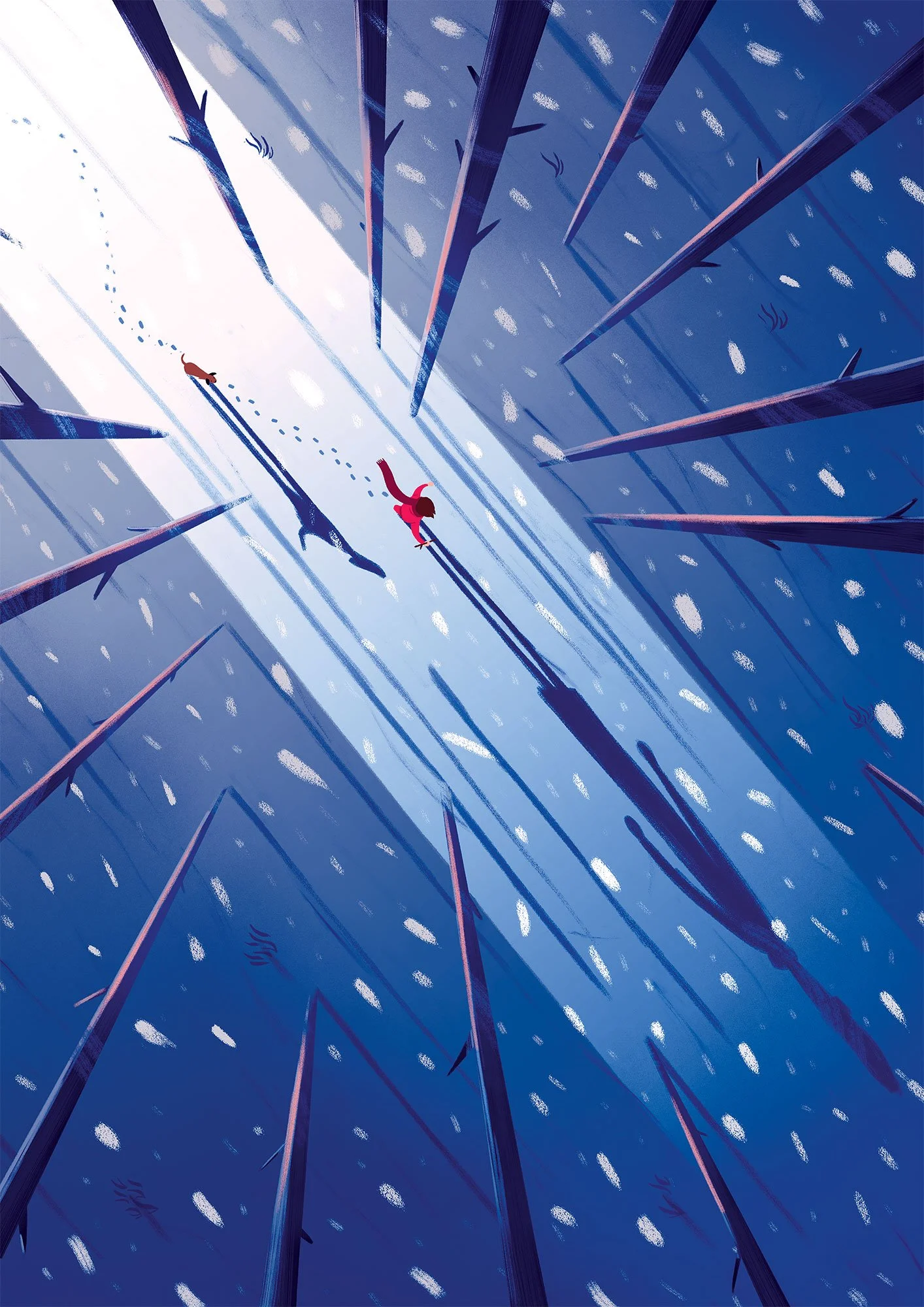 Tom_Cole_REDPRINCE_Birdseye.jpg