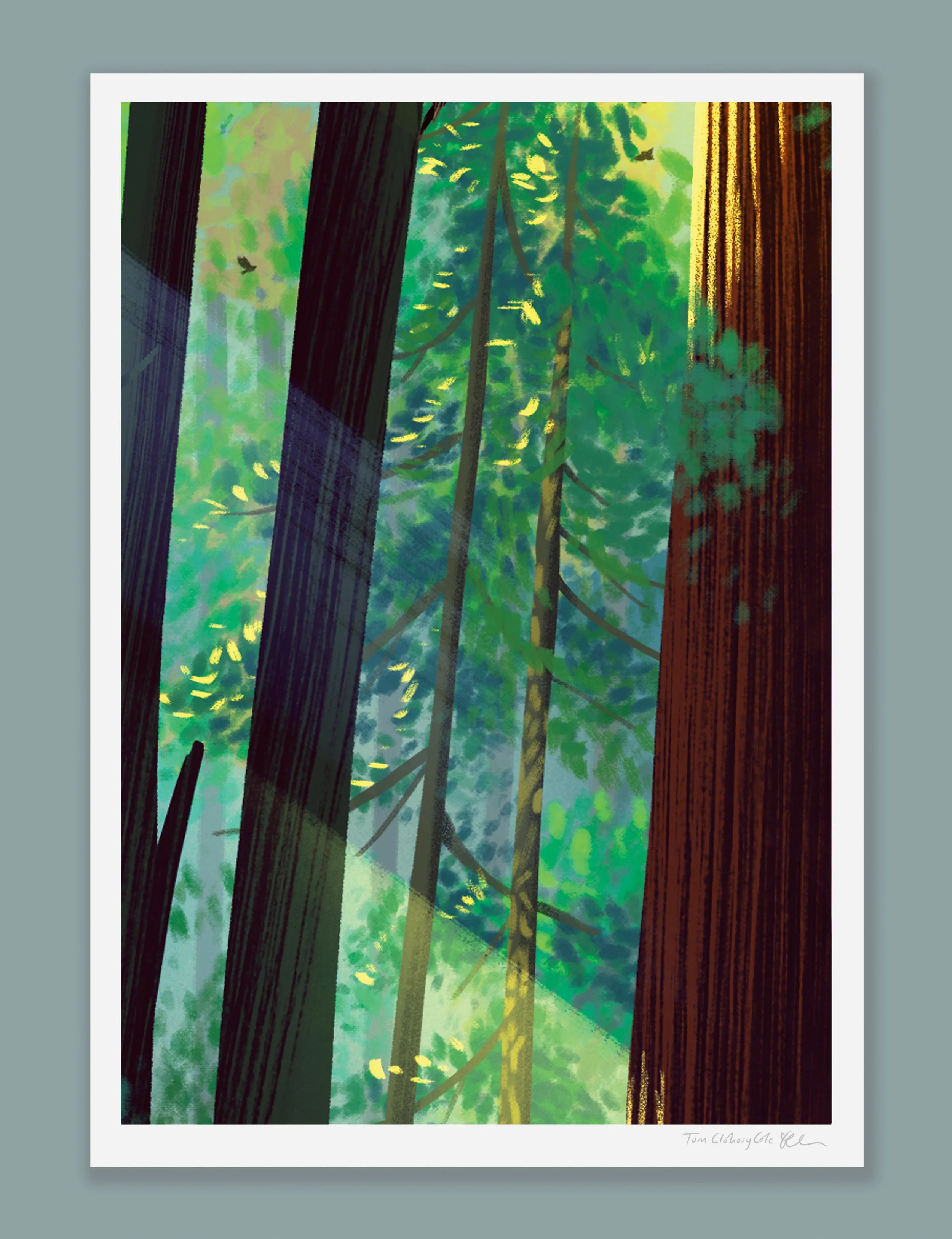 TREE_3_ON_PAPER.jpg