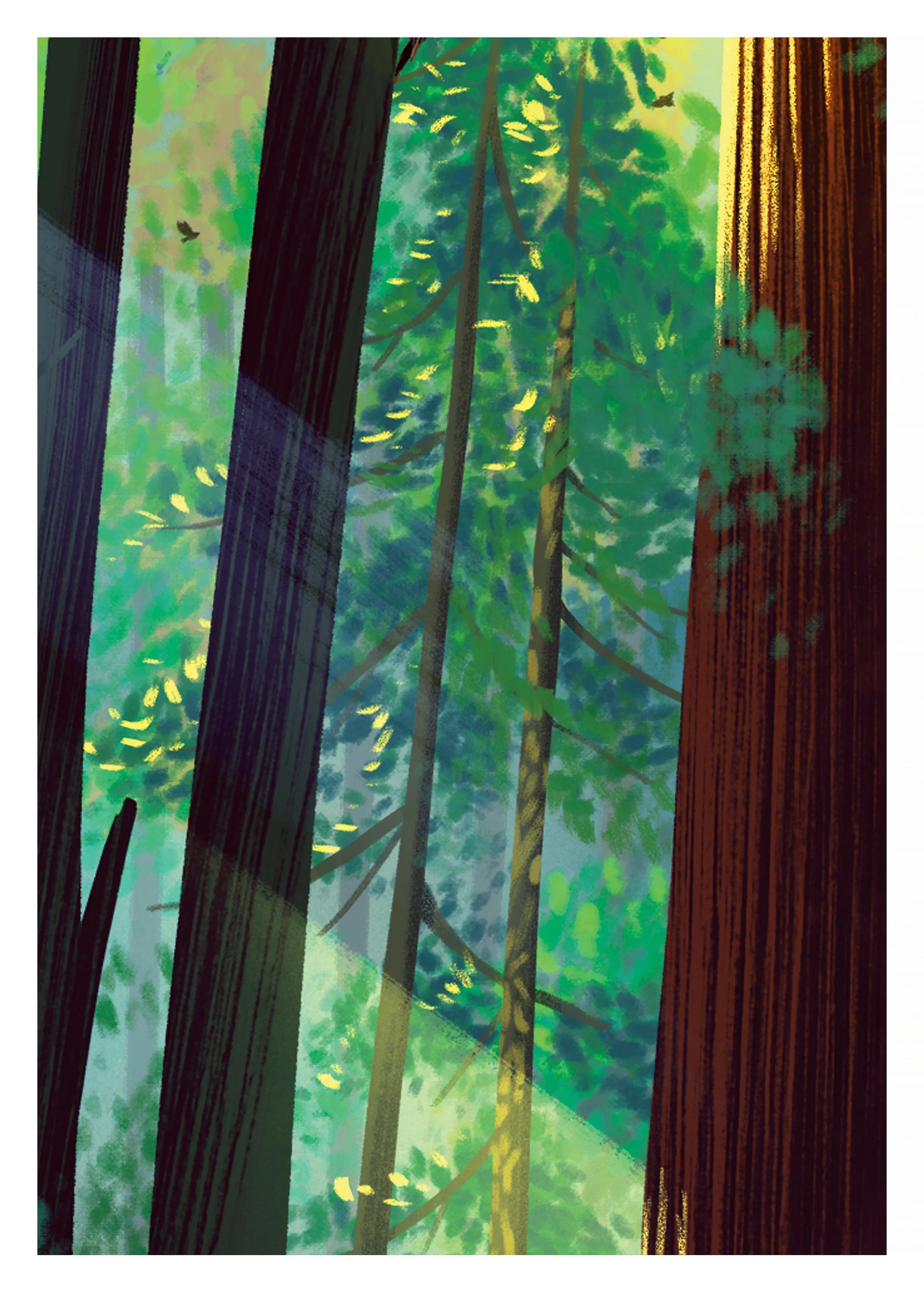 TREE_3.jpg