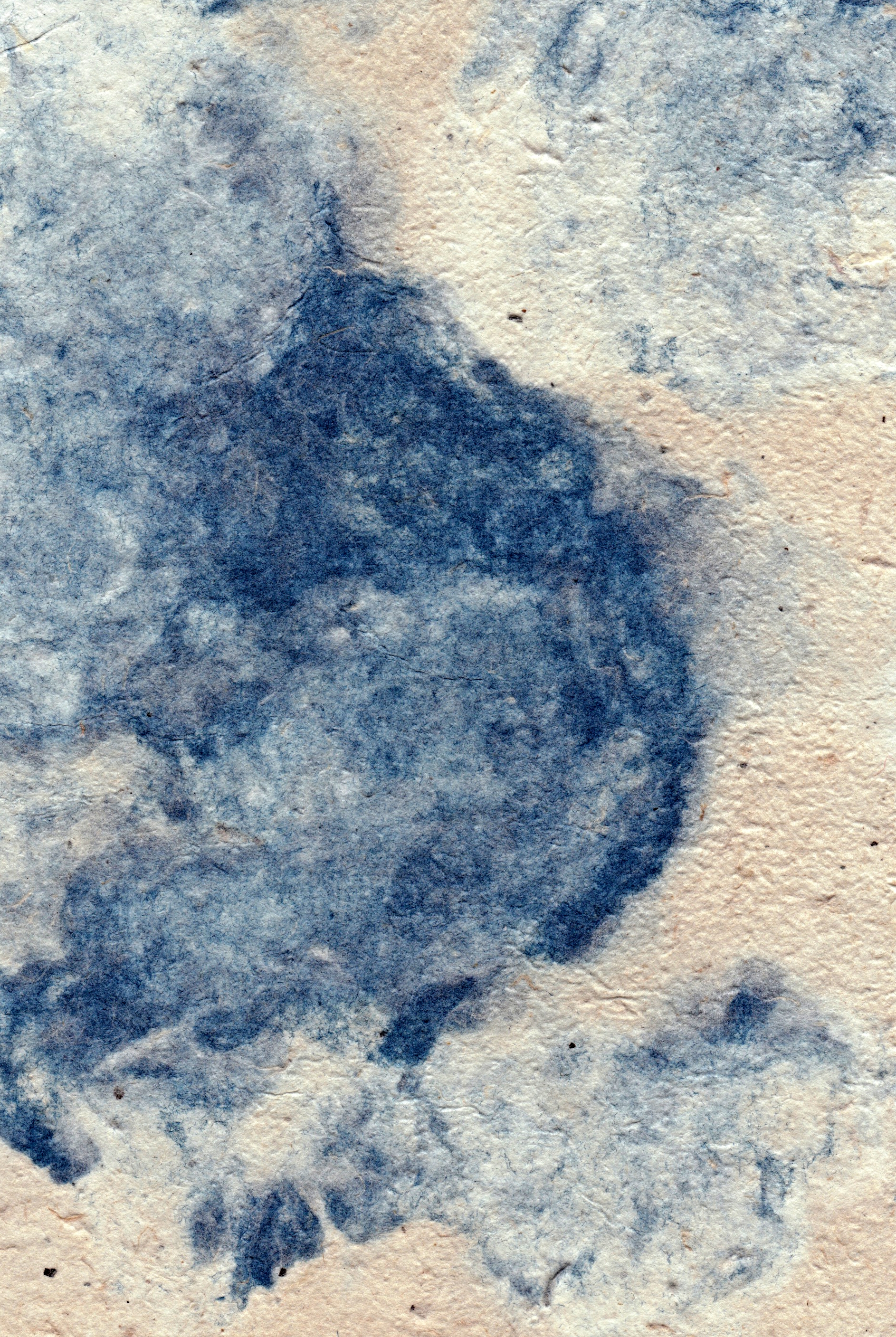 HMP background 08.jpeg