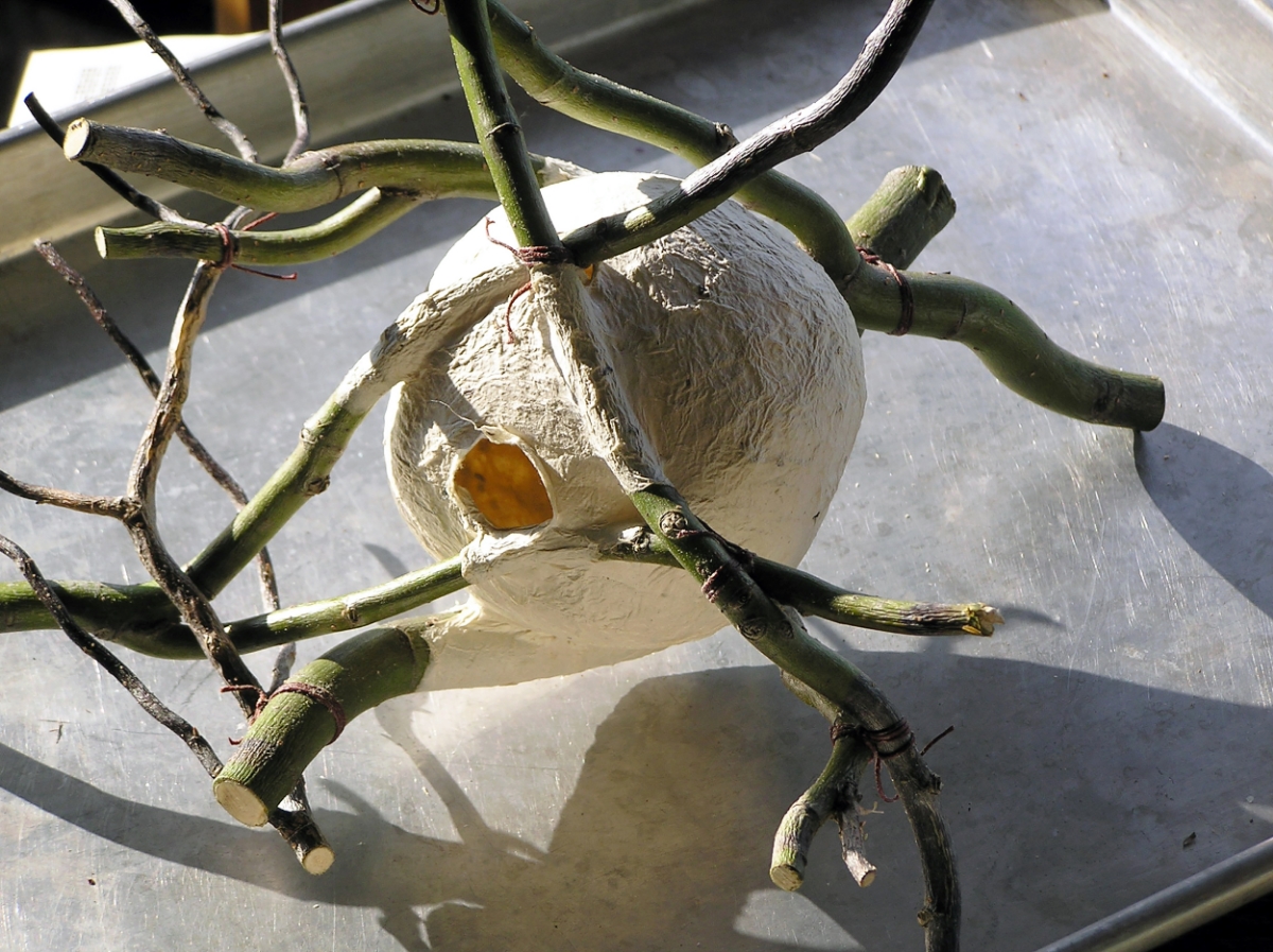  Beautiful organic sculpture by Anita Drexler 