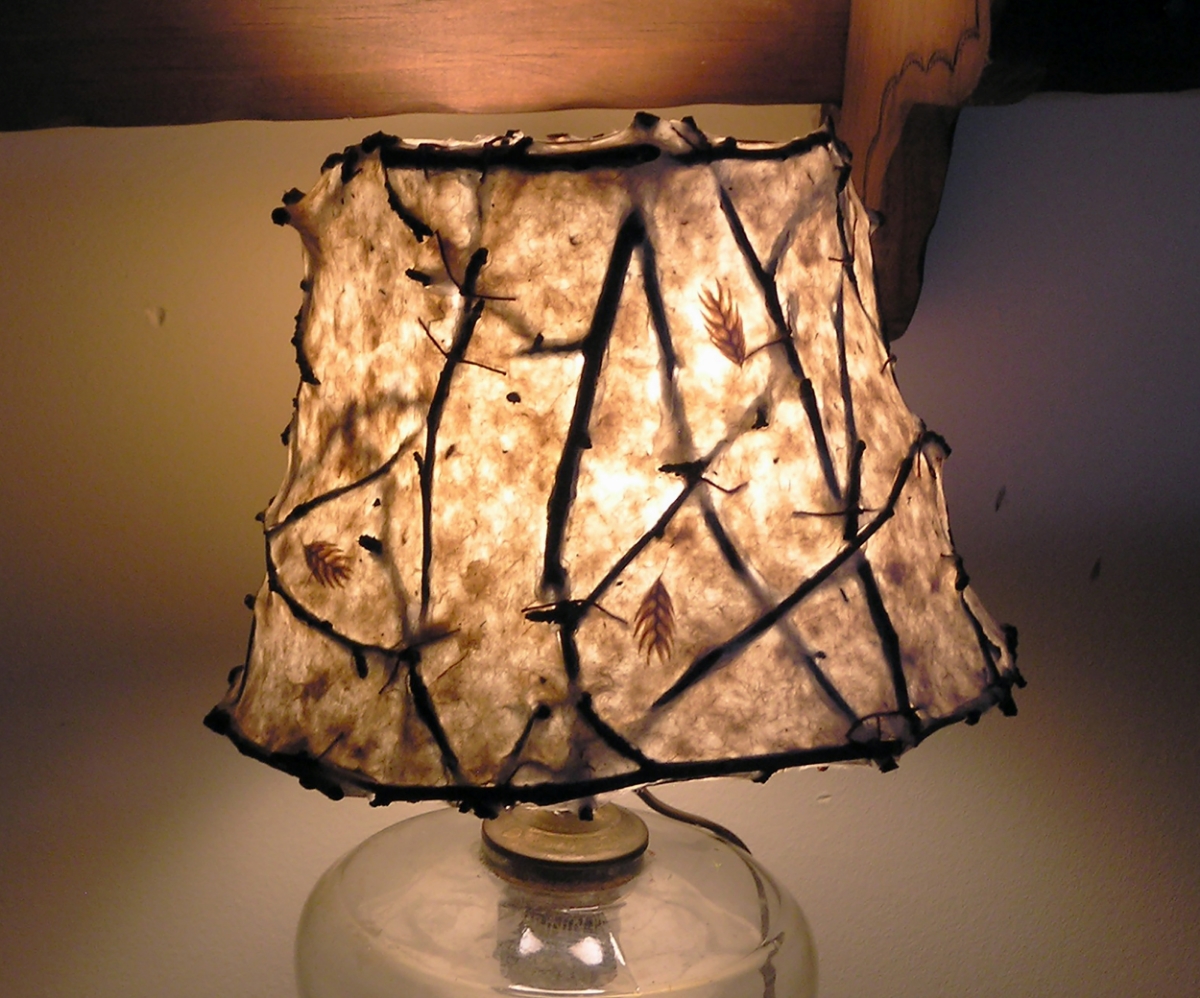  Excellent lampshade by Anita Drexler. 