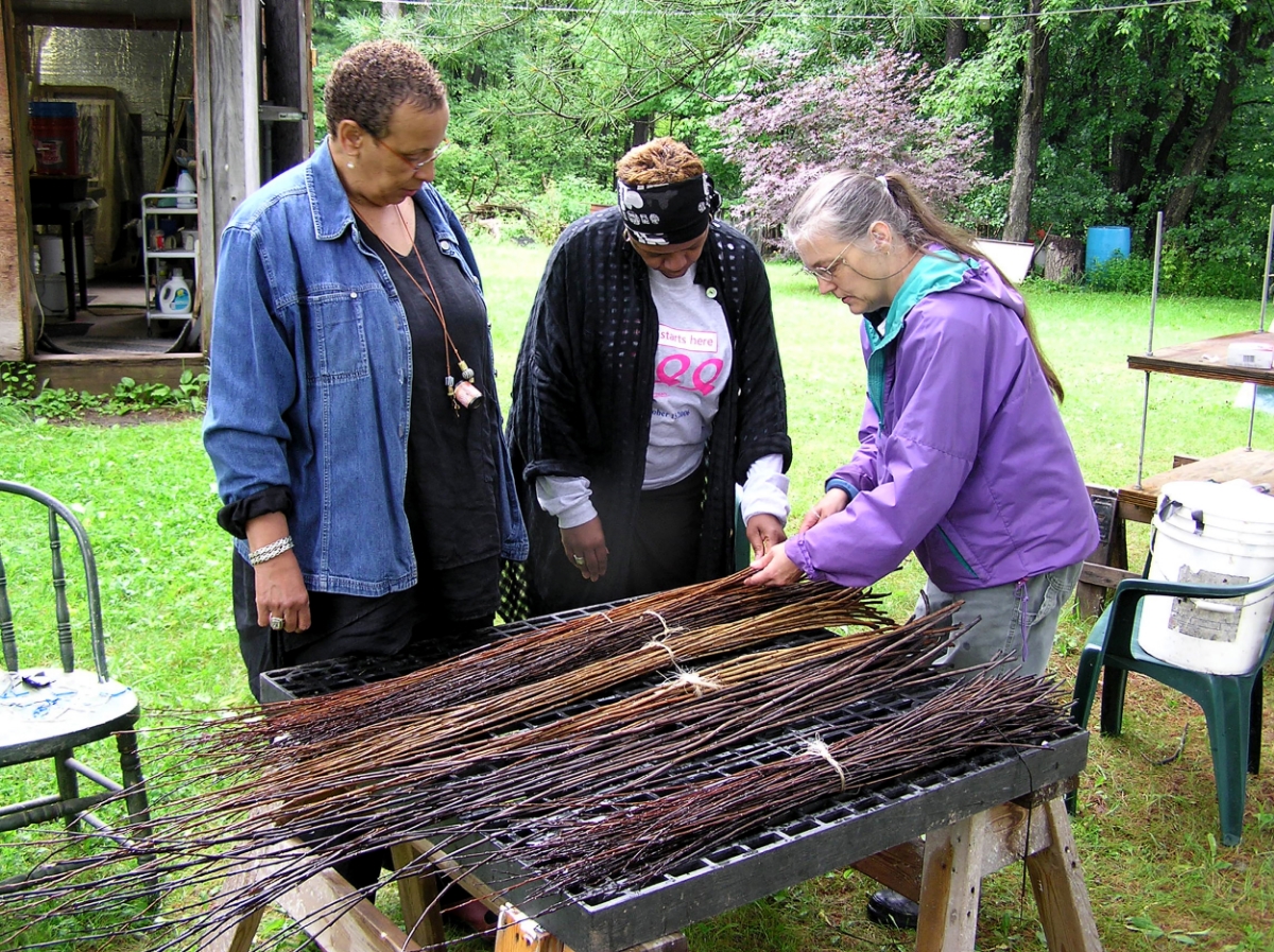  Selecting which willow they want to use for their structures. 