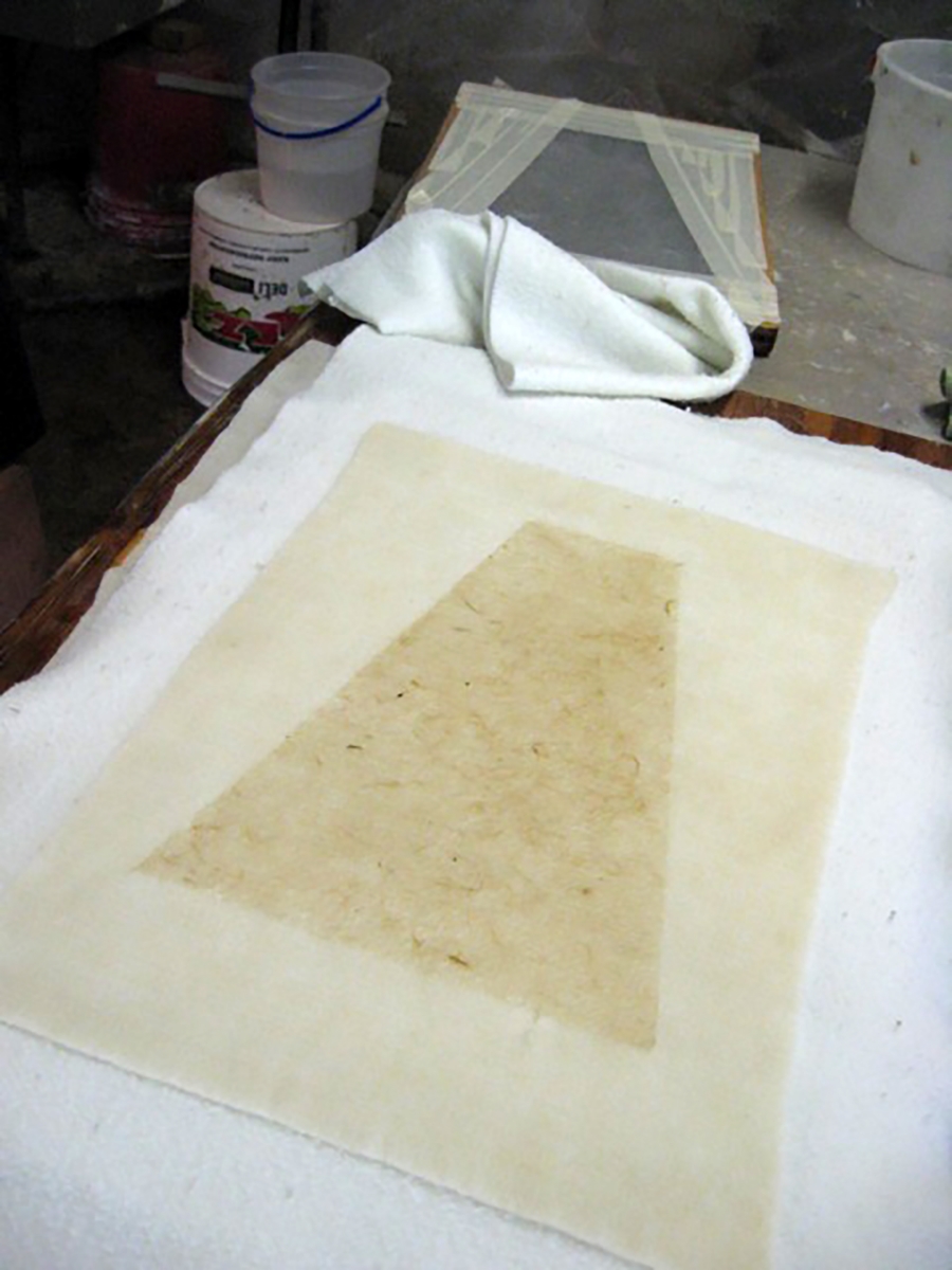 IMG_7964.jpg